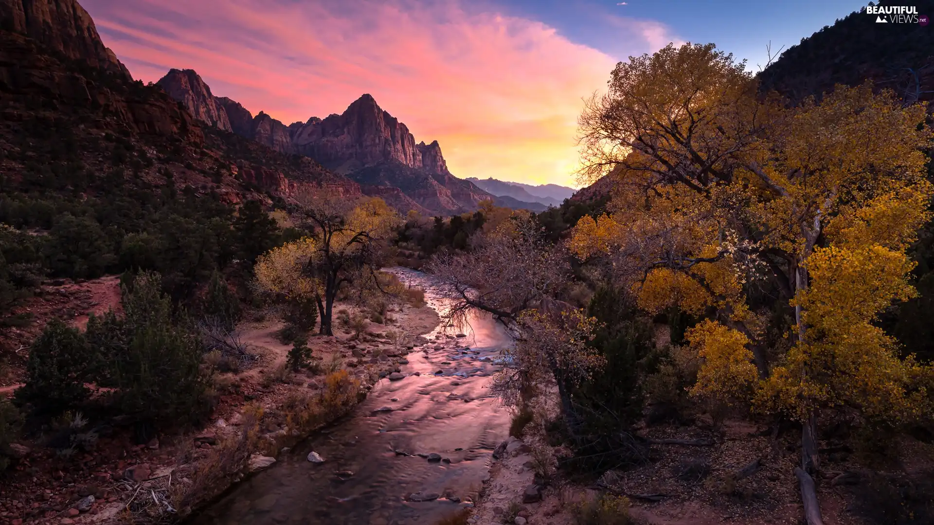 Stones, Zion National Park, viewes, trees, Virgin River, The United States, Great Sunsets, River, Utah State, rocks, Mountain Watchman
