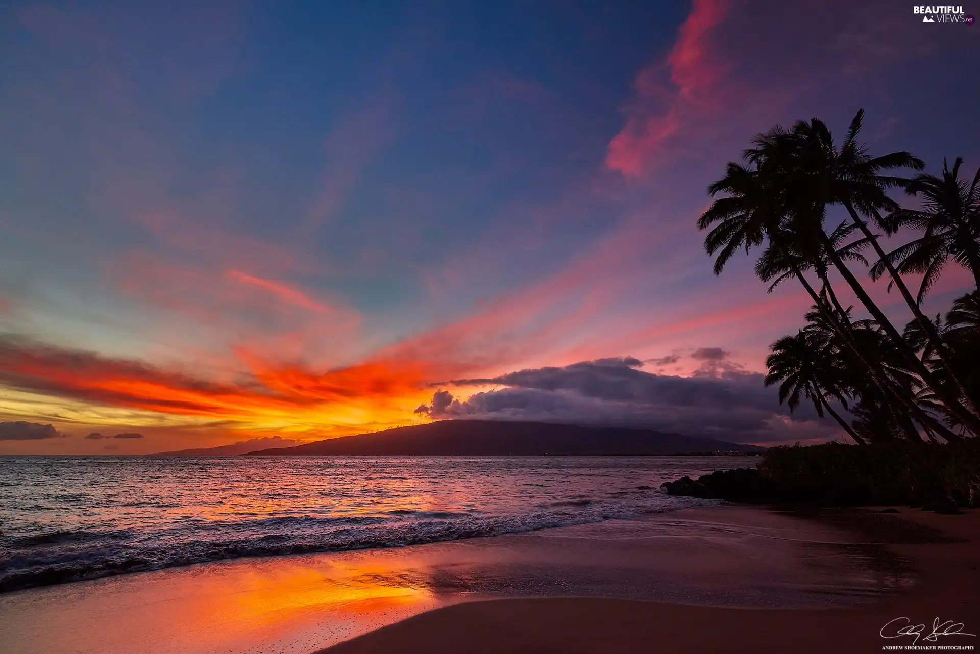 Aloha State Hawaje, sea, Palms, Great Sunsets