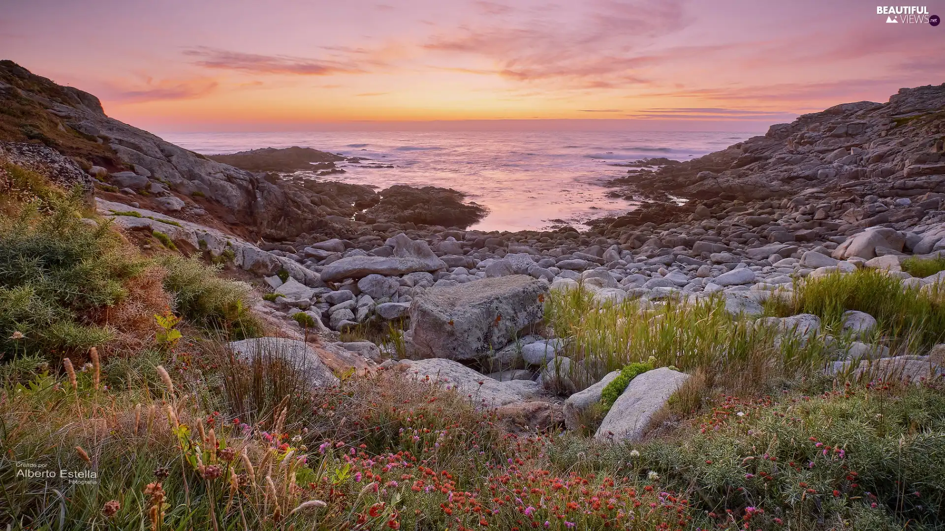 sea, Coast, Sunrise, rocks, Galicia, Spain, Plants, Flowers, Stones