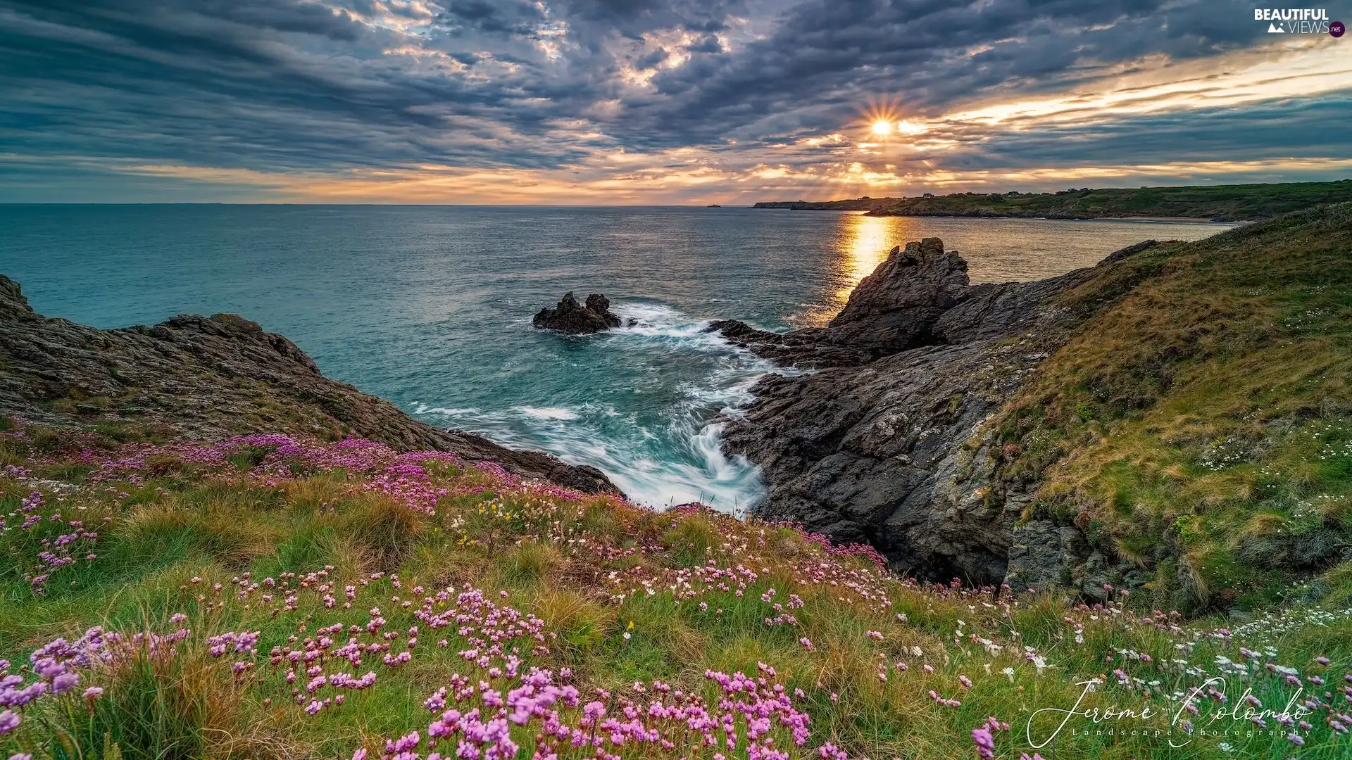 Coast, Brittany, rocks, sea, France, Sunrise, Flowers