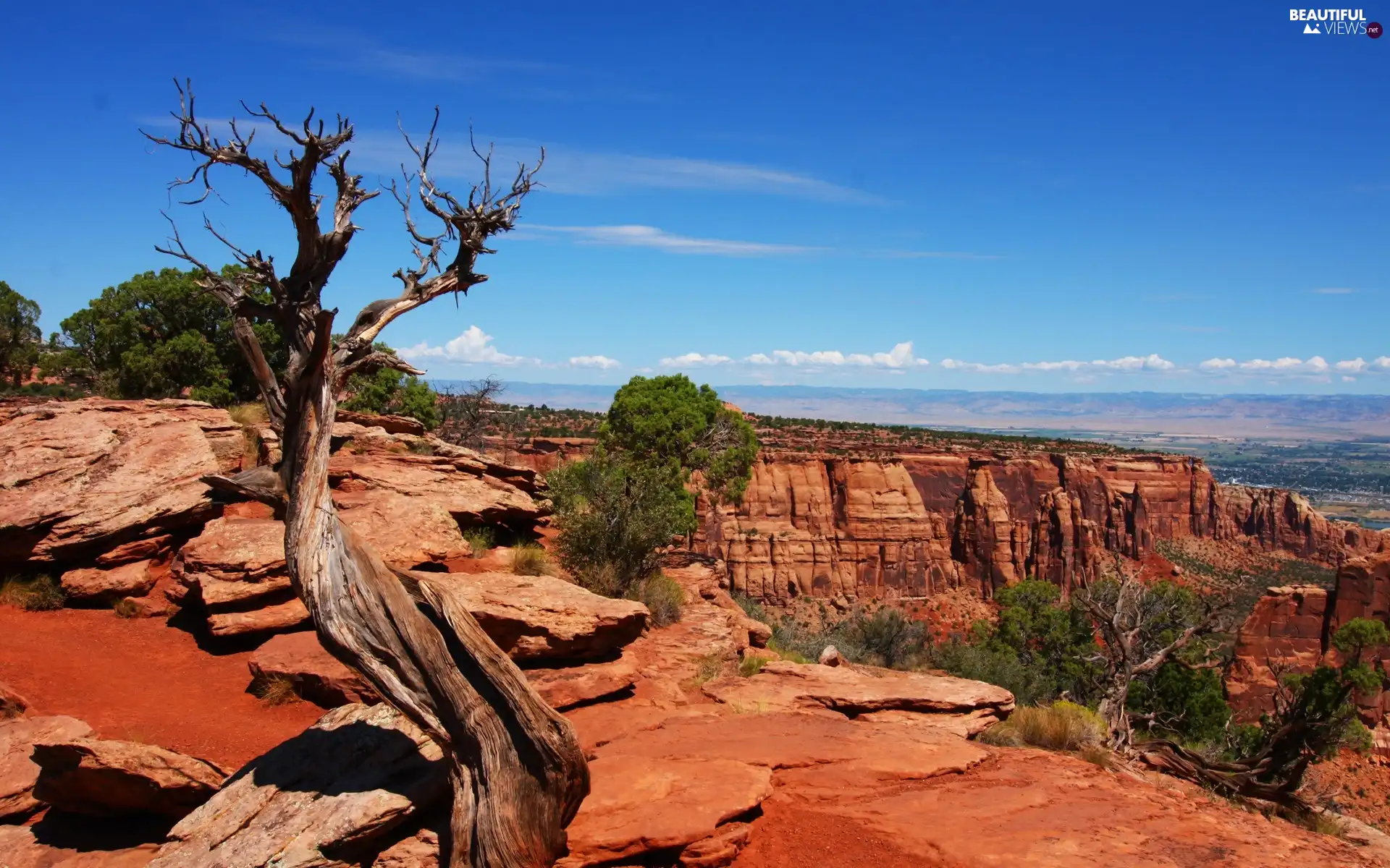 canyons, viewes, Sky, trees