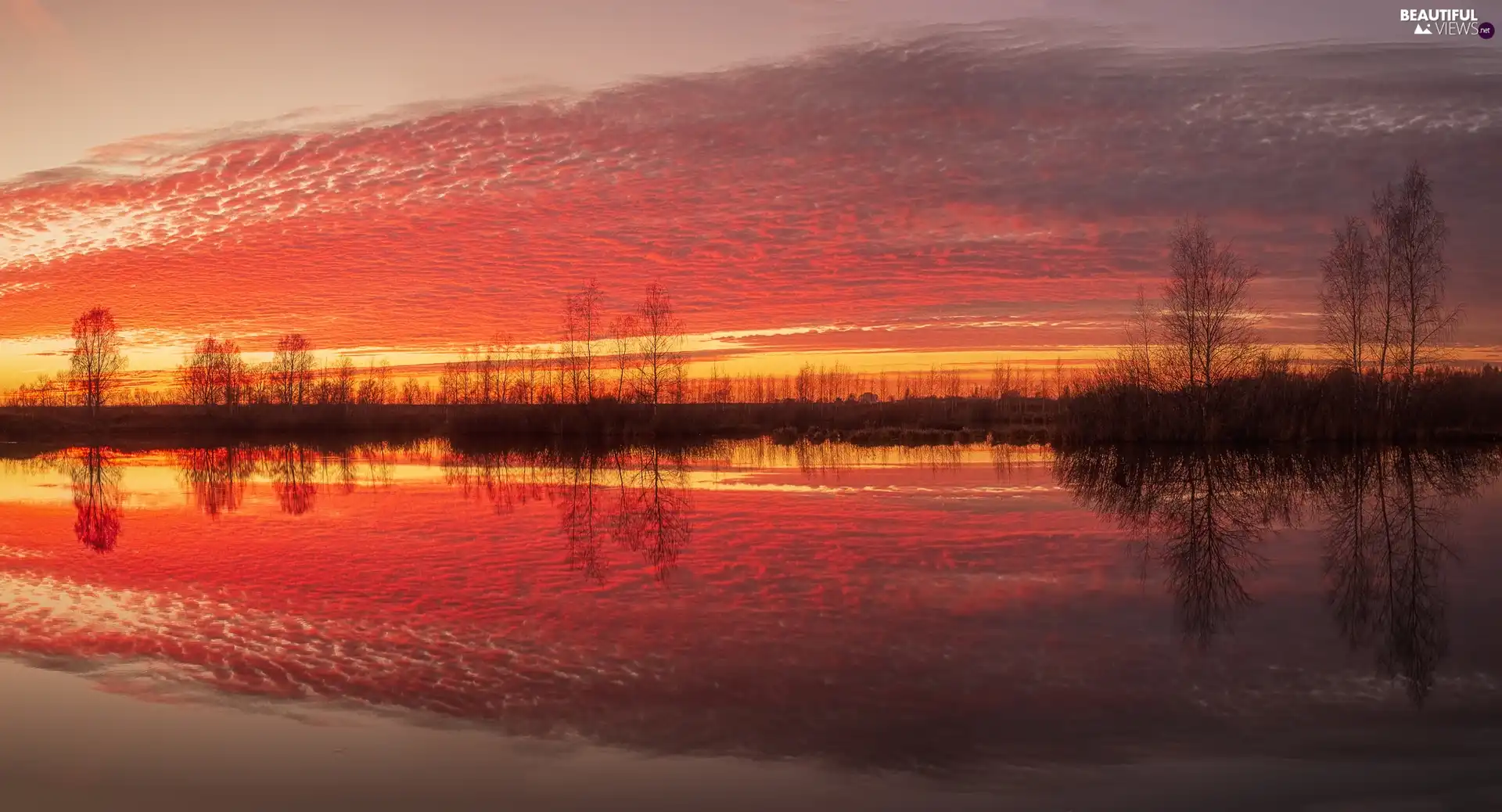 Sky, clouds, reflection, River, viewes, color, Great Sunsets, trees
