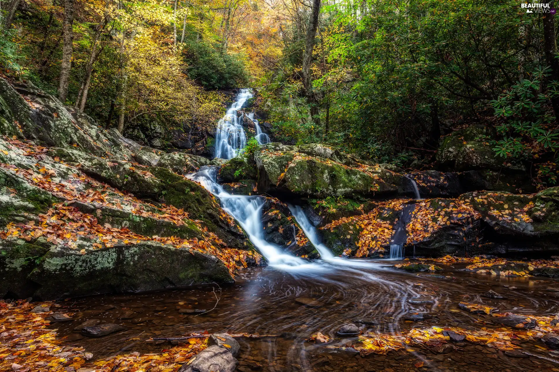 waterfall, River, rocks, small, forest, autumn, Leaf