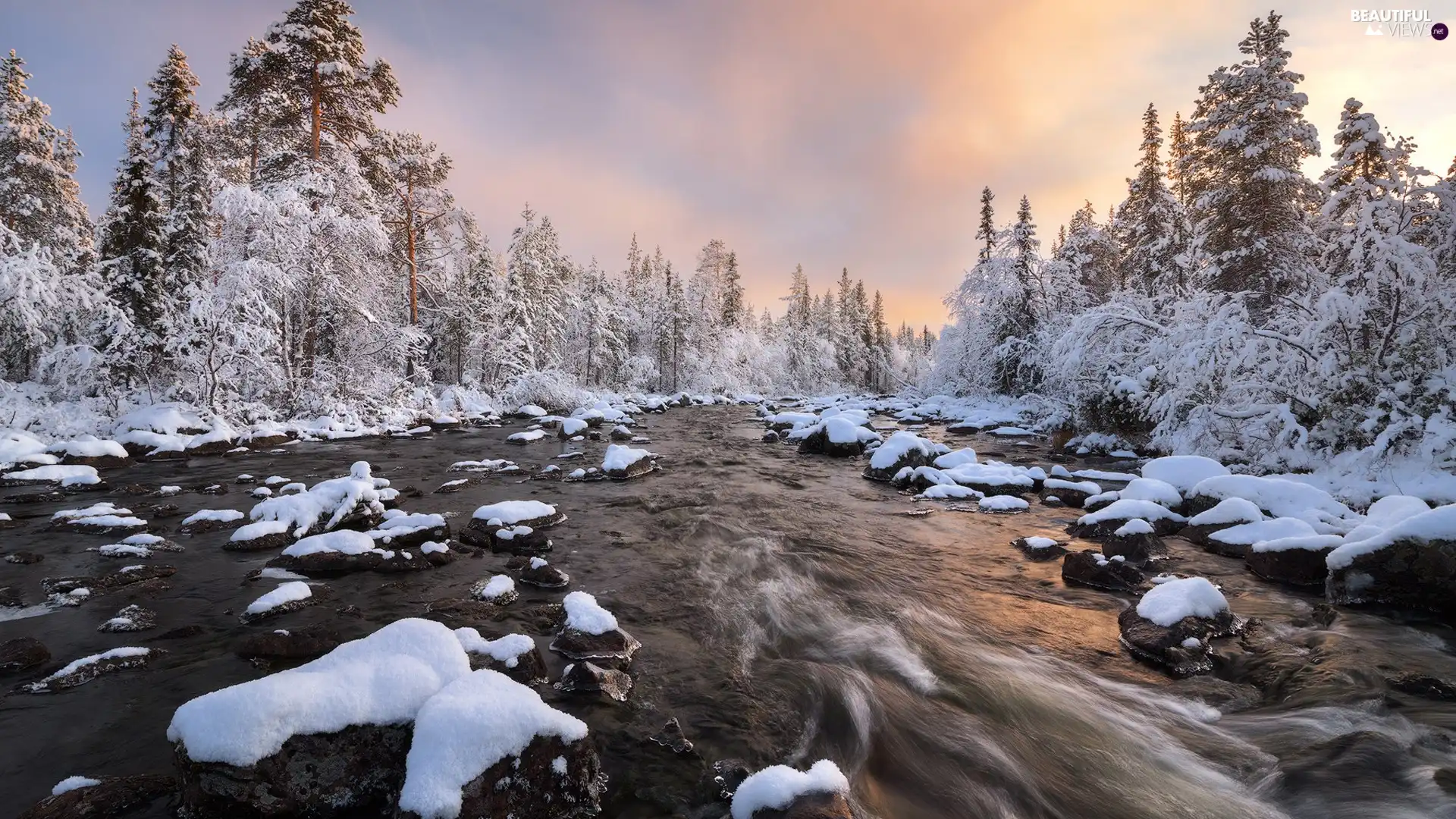 River, forest, trees, snow, winter, Snowy, viewes