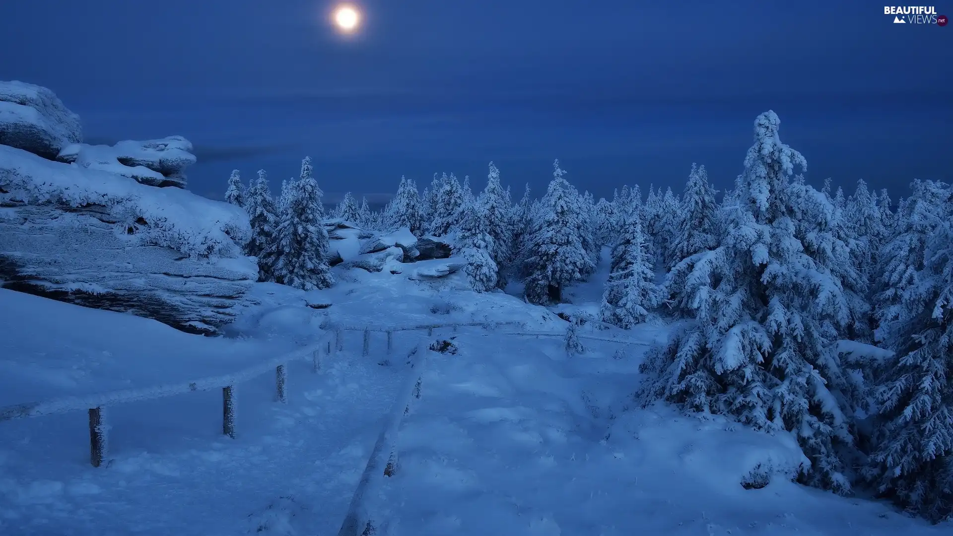 Mountains, moon, viewes, Night, trees, rocks, winter, snow