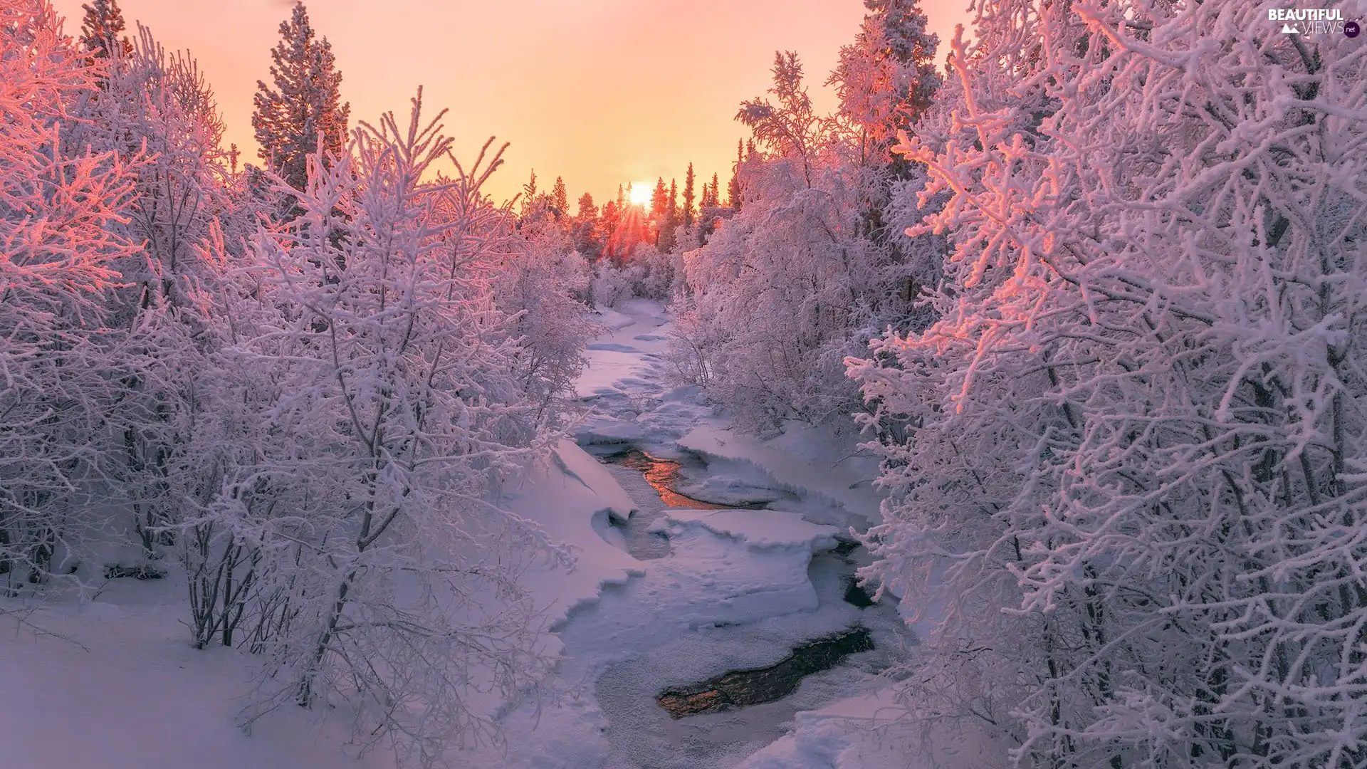 Sunrise, winter, viewes, Snowy, trees, River