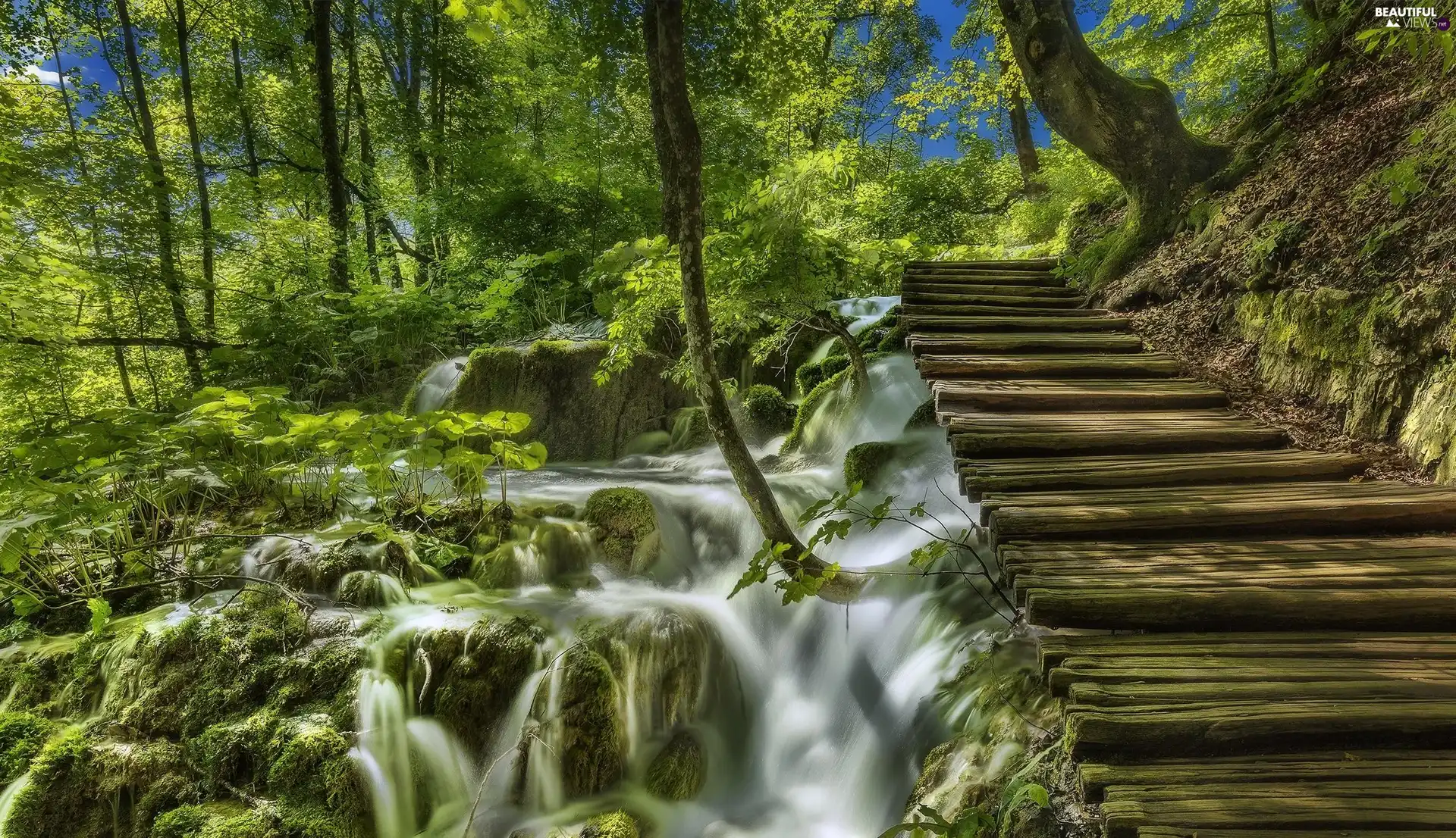 forest, waterfall, VEGETATION, Moss, Stairs, Plitvice Lakes National Park, Coartia, wood