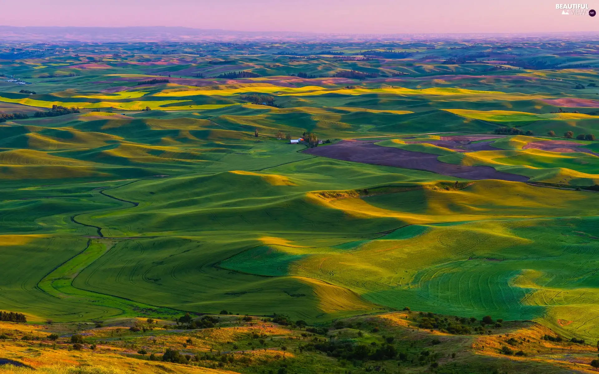 The Hills, field, Washington, Palouse, The United States