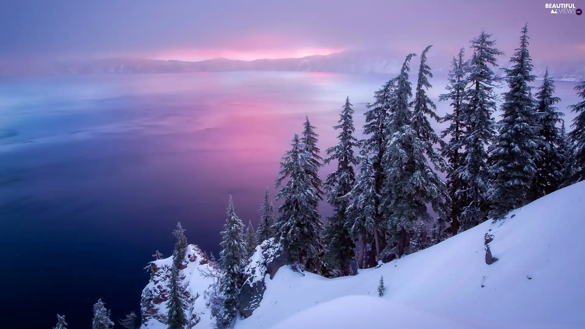 winter, Spruces, Oregon, Crater Lake, The United States