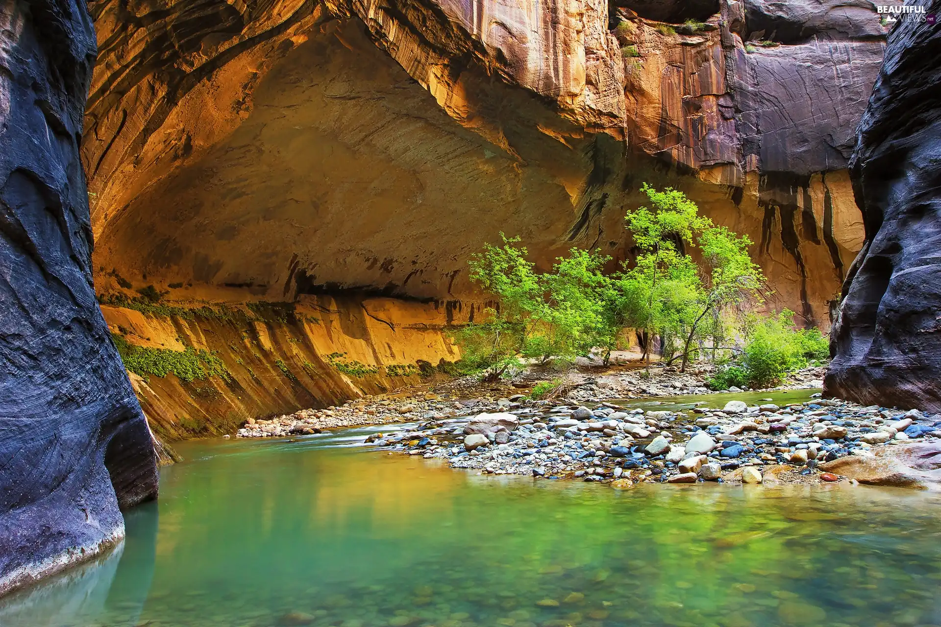 Zion Narrows Canyon, rocks, The United States, Stones, Utah State, Virgin River, Zion National Park, VEGETATION