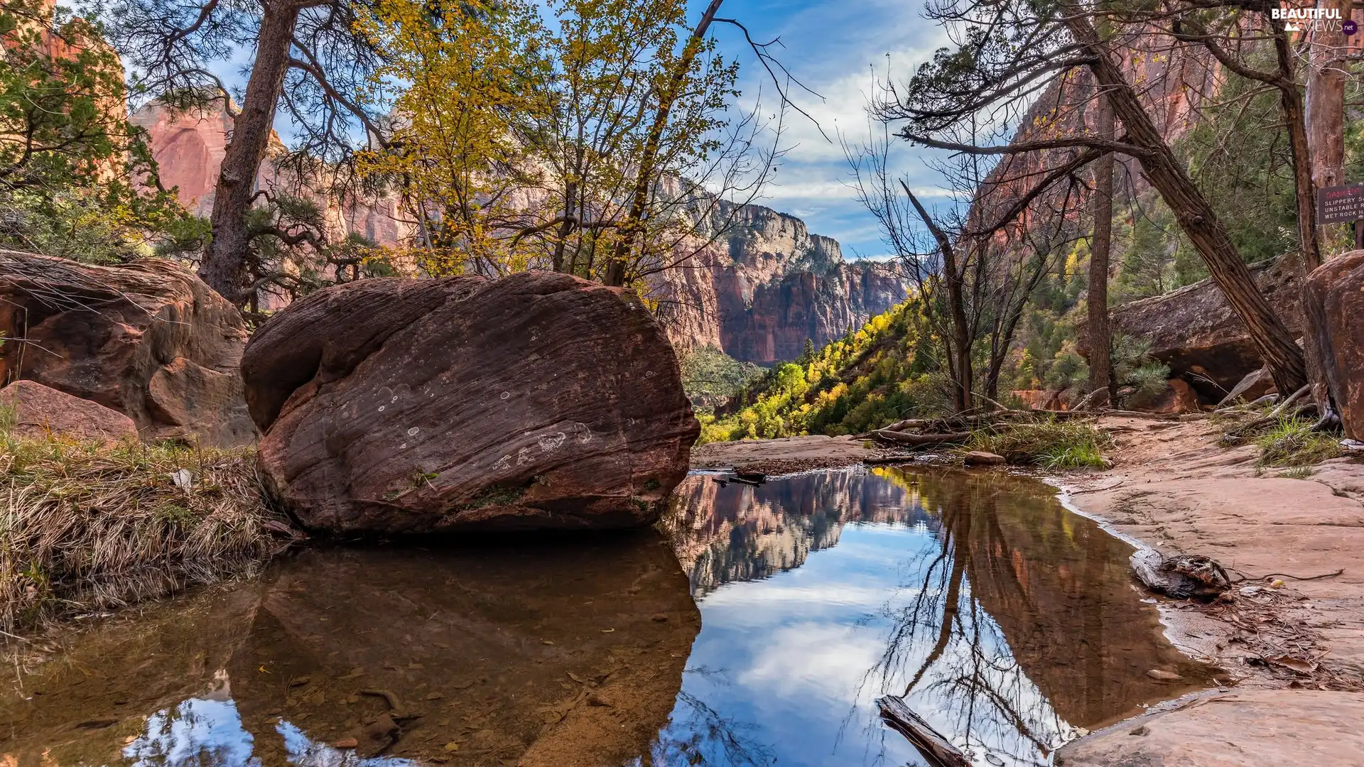 canyon, Mountains, puddle, trees, Utah State, The United States, rocks, Zion National Park, viewes