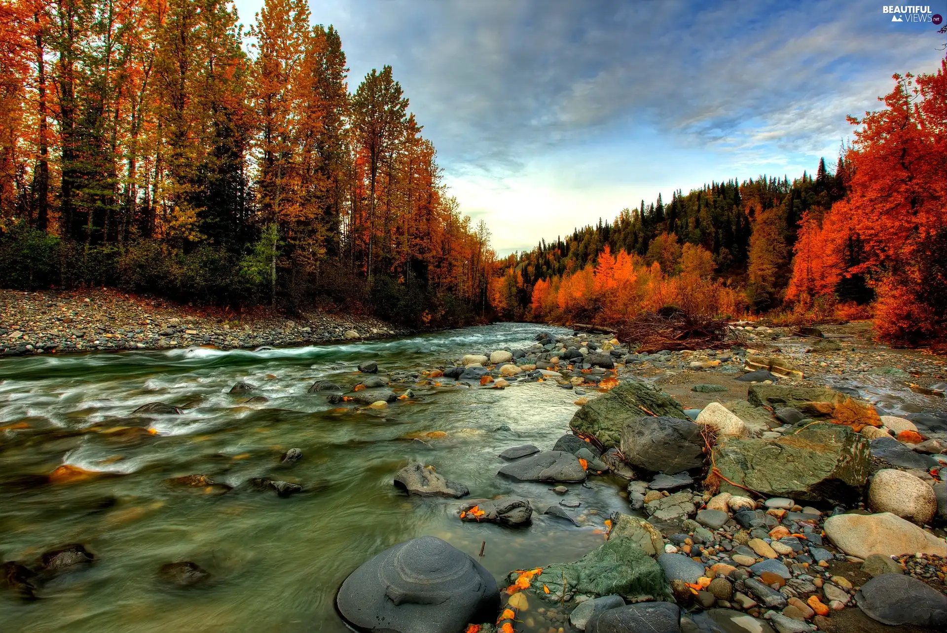 autumn, stream, Stones, forest