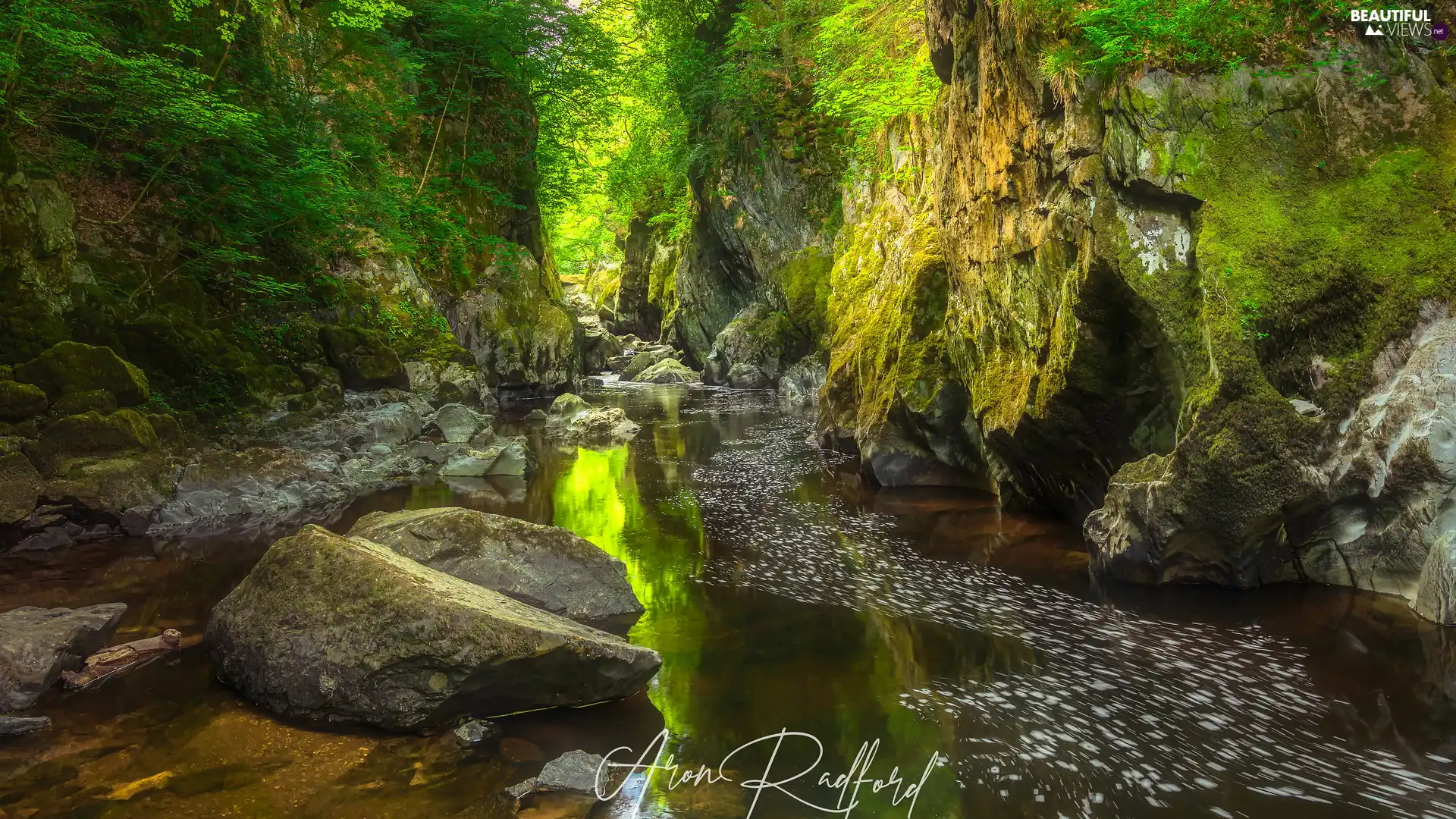 River Conwy, Fairy Glen Gorge, Betws y Coed Village, Snowdonia National Park, viewes, wales, rocks, trees, Stones