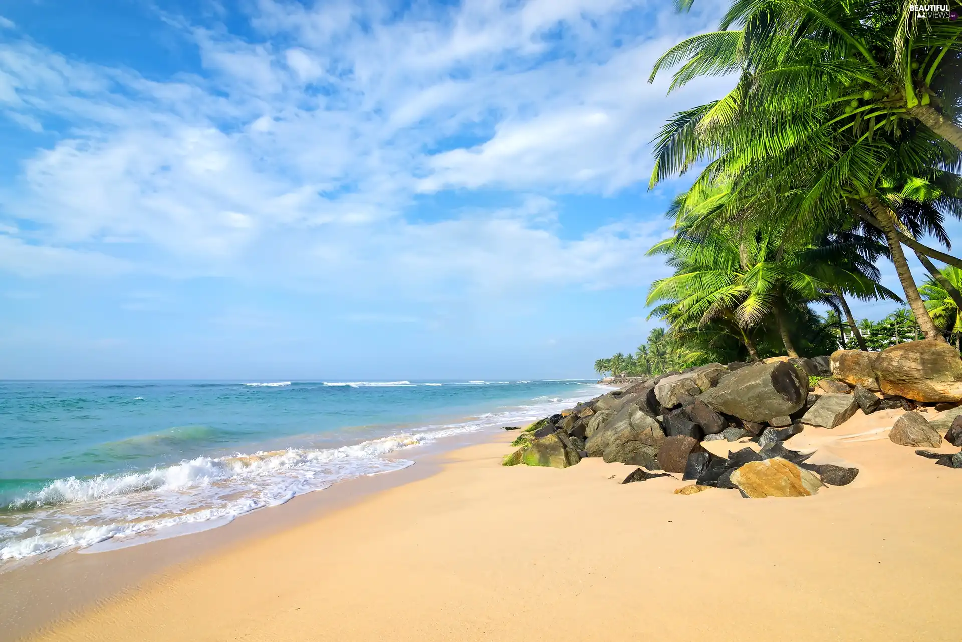 Stones, Palms, sea, Beaches, Sri Lanka - Beautiful views ...