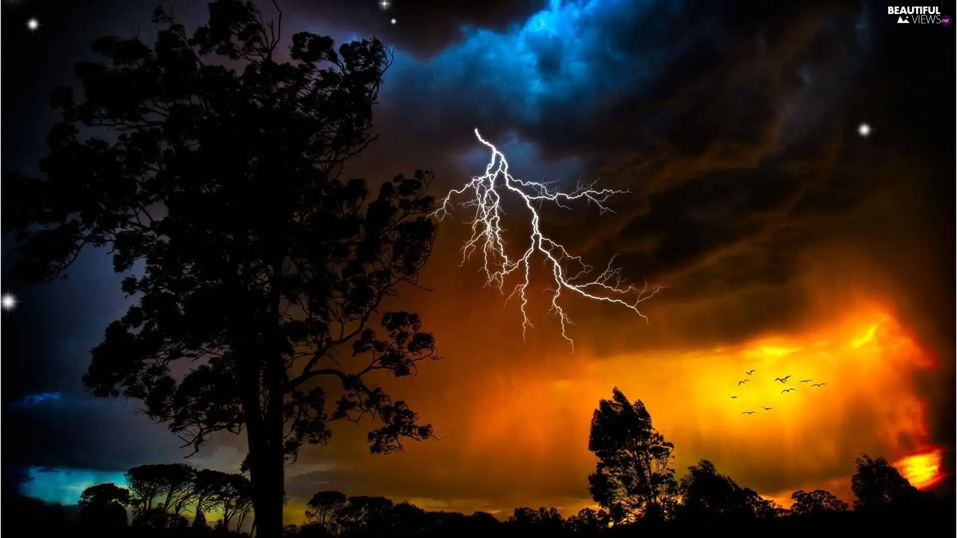 trees, lightning, Storm, Sky