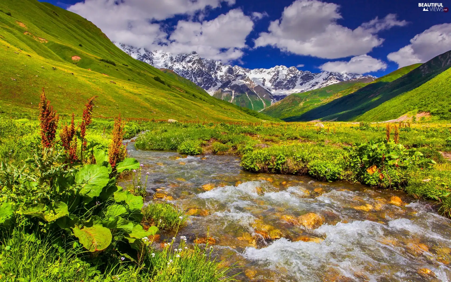 stream, Plants, Mountains, medows, clouds