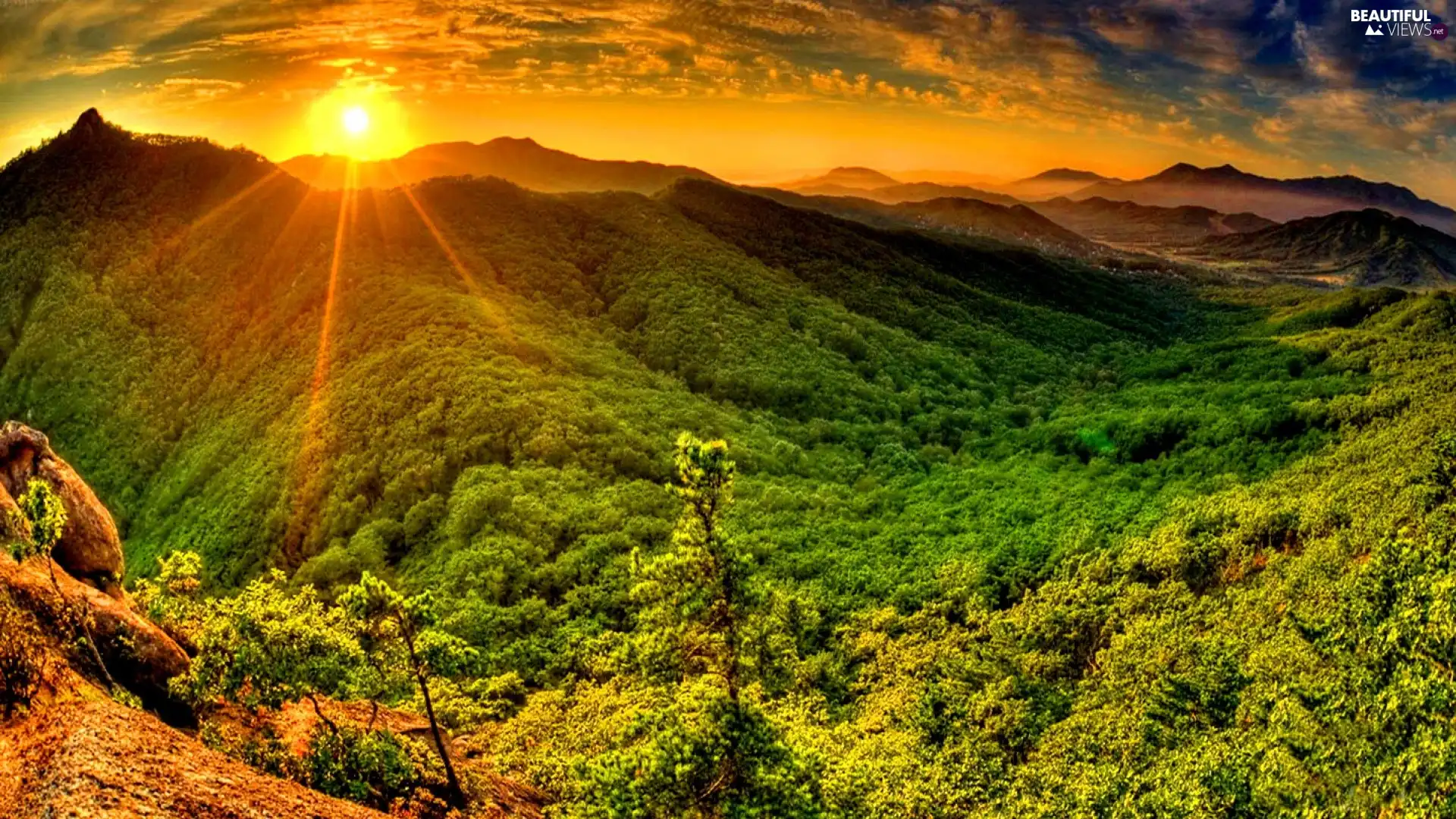 sun, summer, forest, rays, Mountains