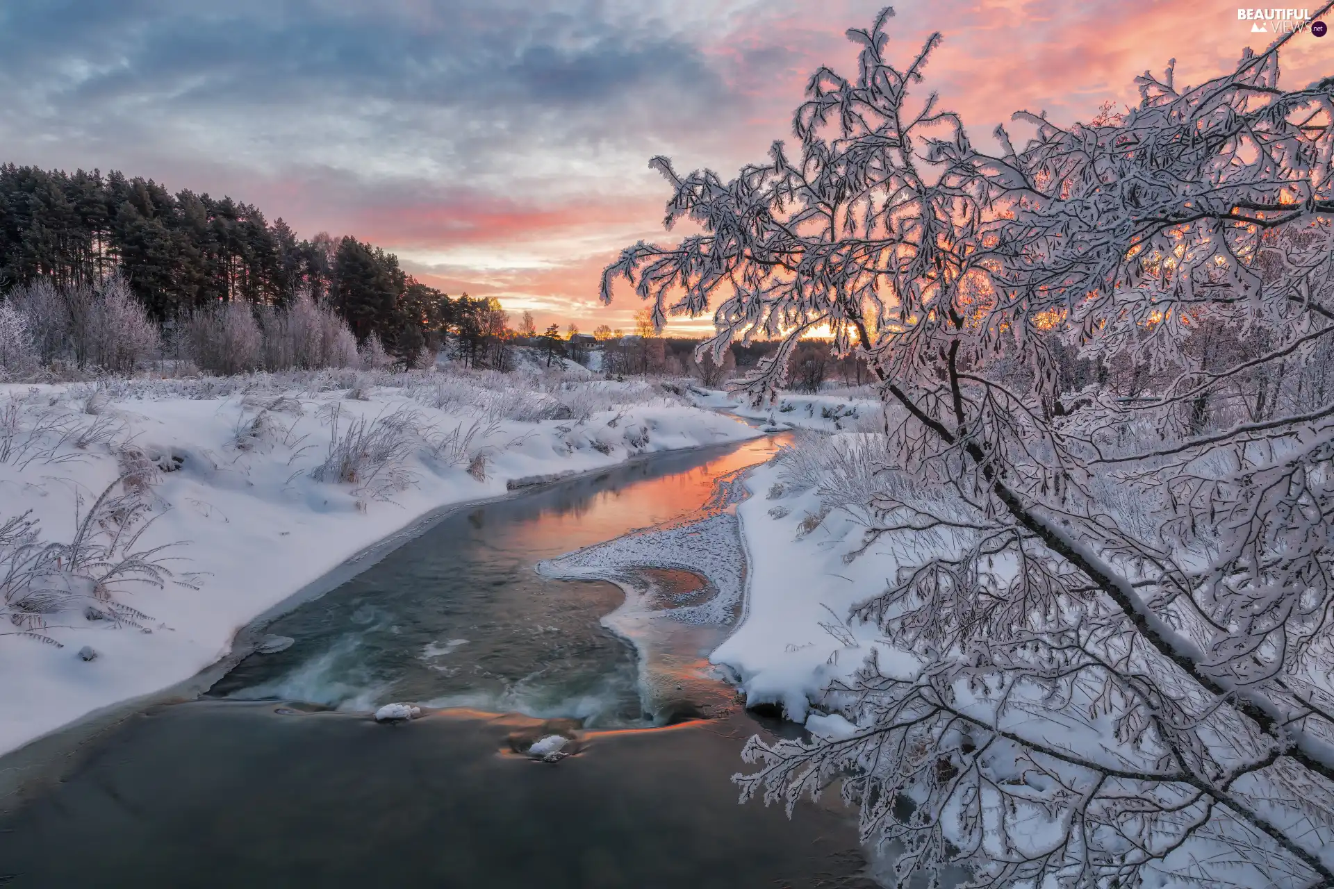 viewes, River, branch pics, trees, winter, Snowy, Sunrise