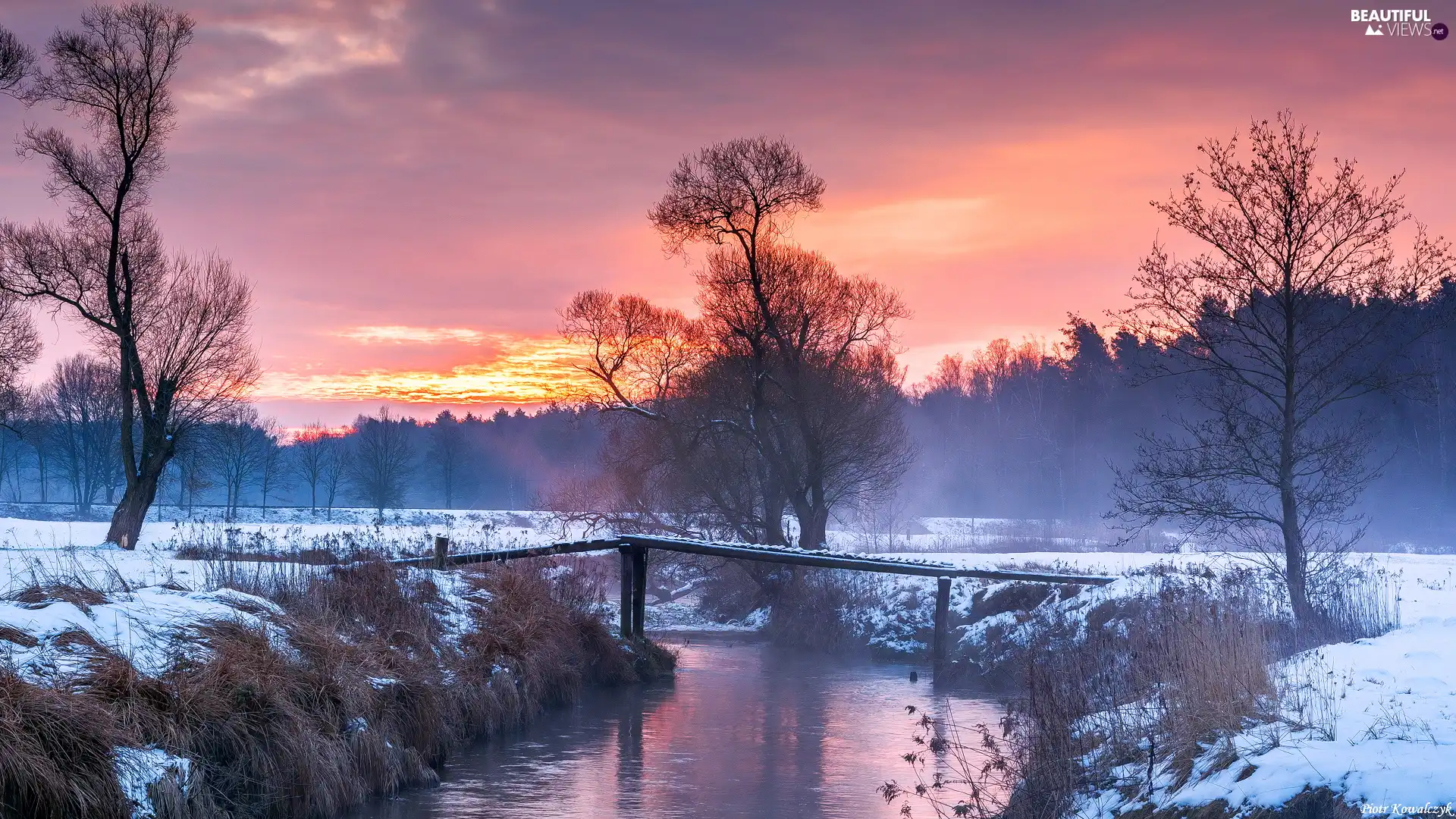 trees, River, winter, Sunrise, viewes, bridges