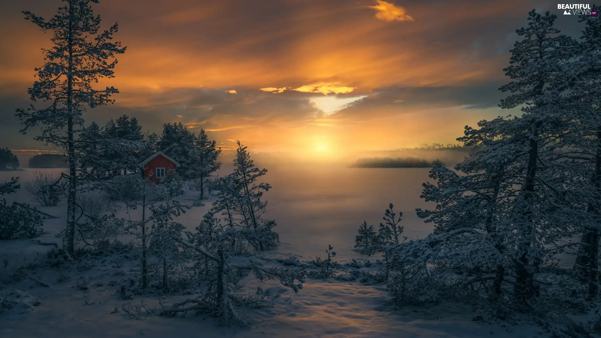 Sunrise, trees, house, Ringerike, snowy, winter, viewes, Norway, Fog, lake