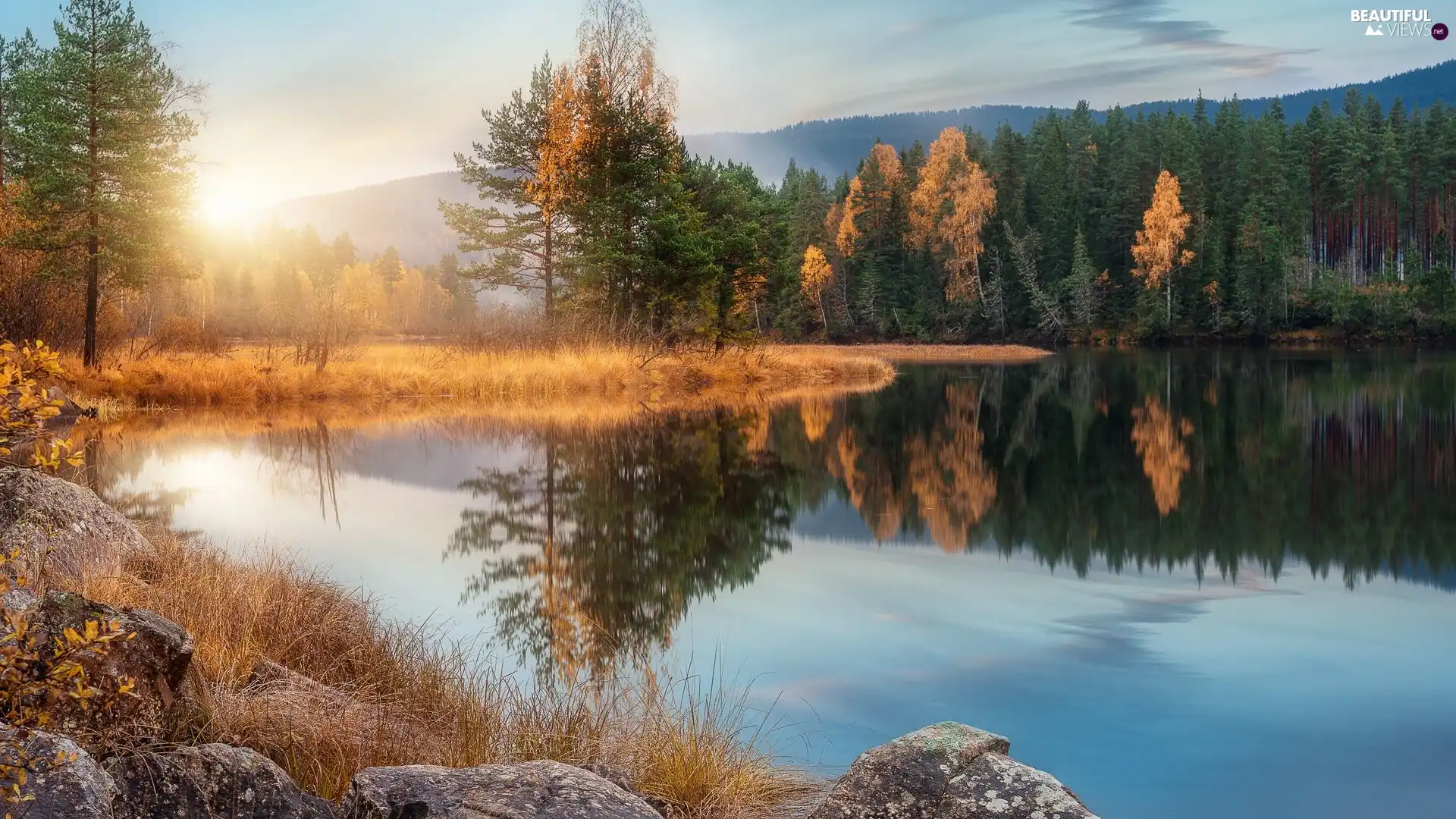 trees, River, autumn, Sunrise, viewes, forest