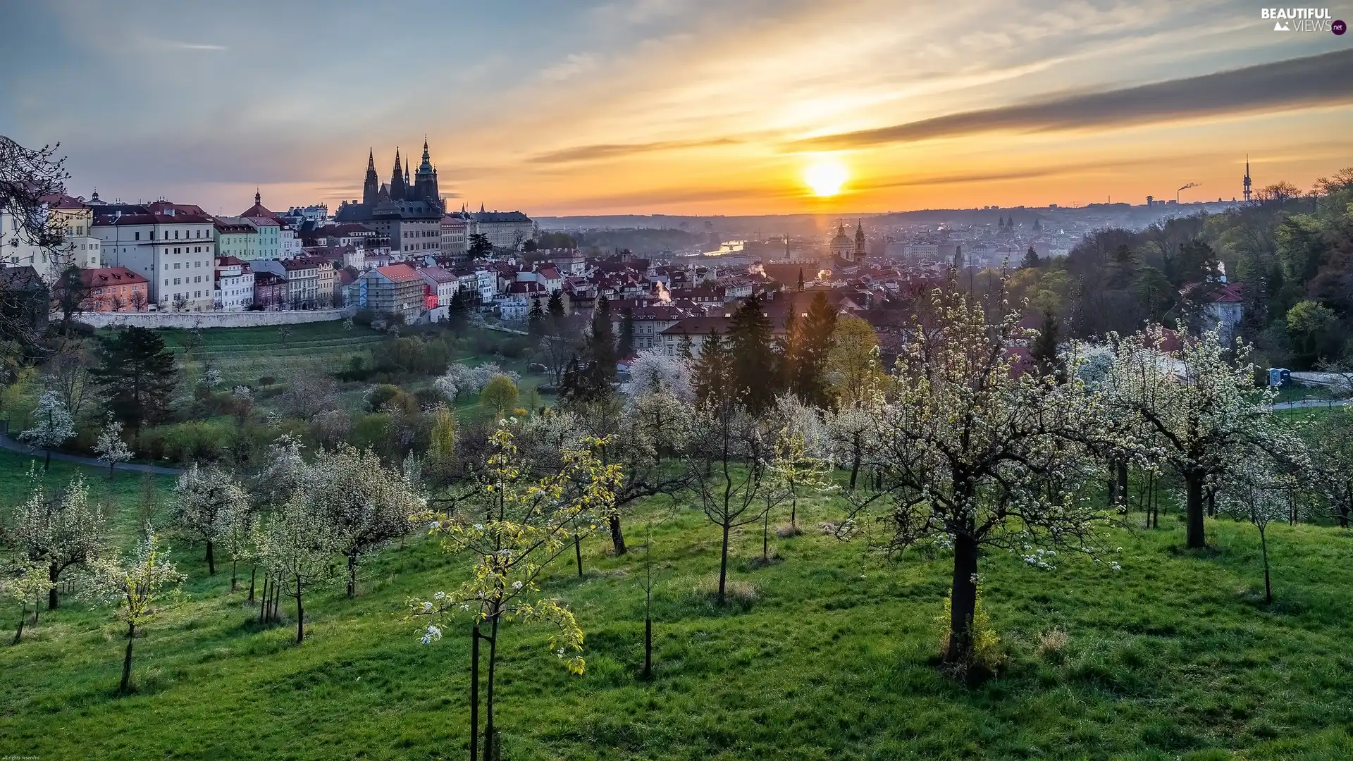 trees, Czech Republic, Sunrise, Spring, viewes, Prague
