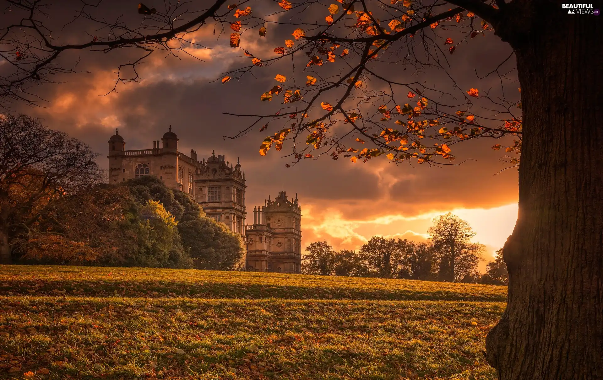 Wollaton Hall Museum, Nottingham Natural History Museum, Great Sunsets, autumn, viewes, Nottingham, England, trees