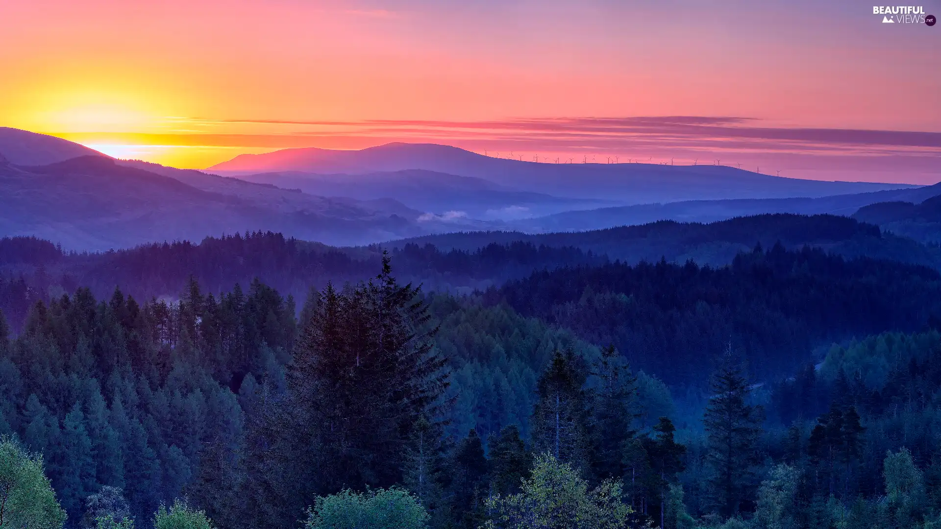 viewes, Fog, Sky, trees, Mountains, woods, Great Sunsets