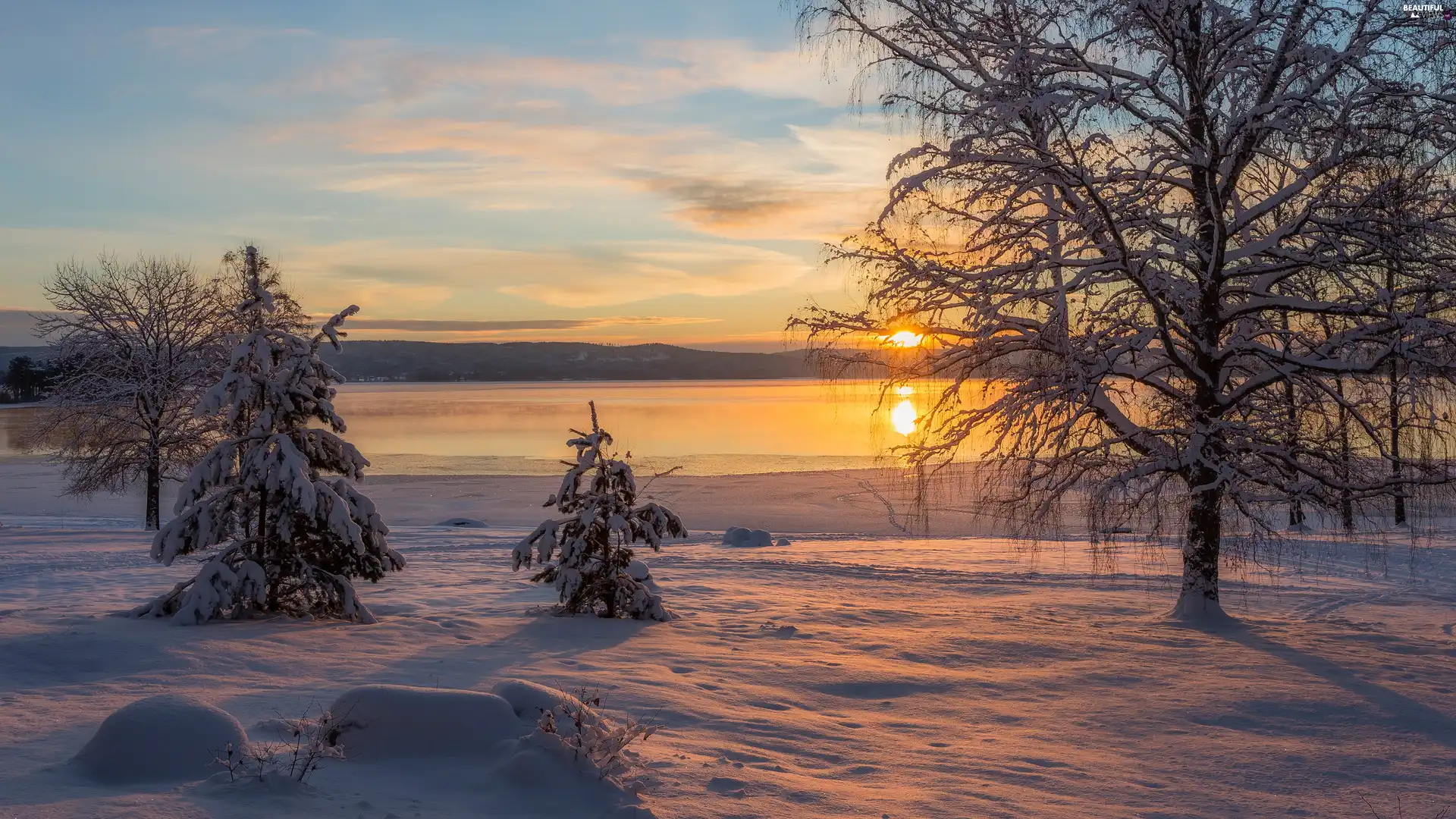 lake, trees, snow, viewes, winter, clouds, Great Sunsets