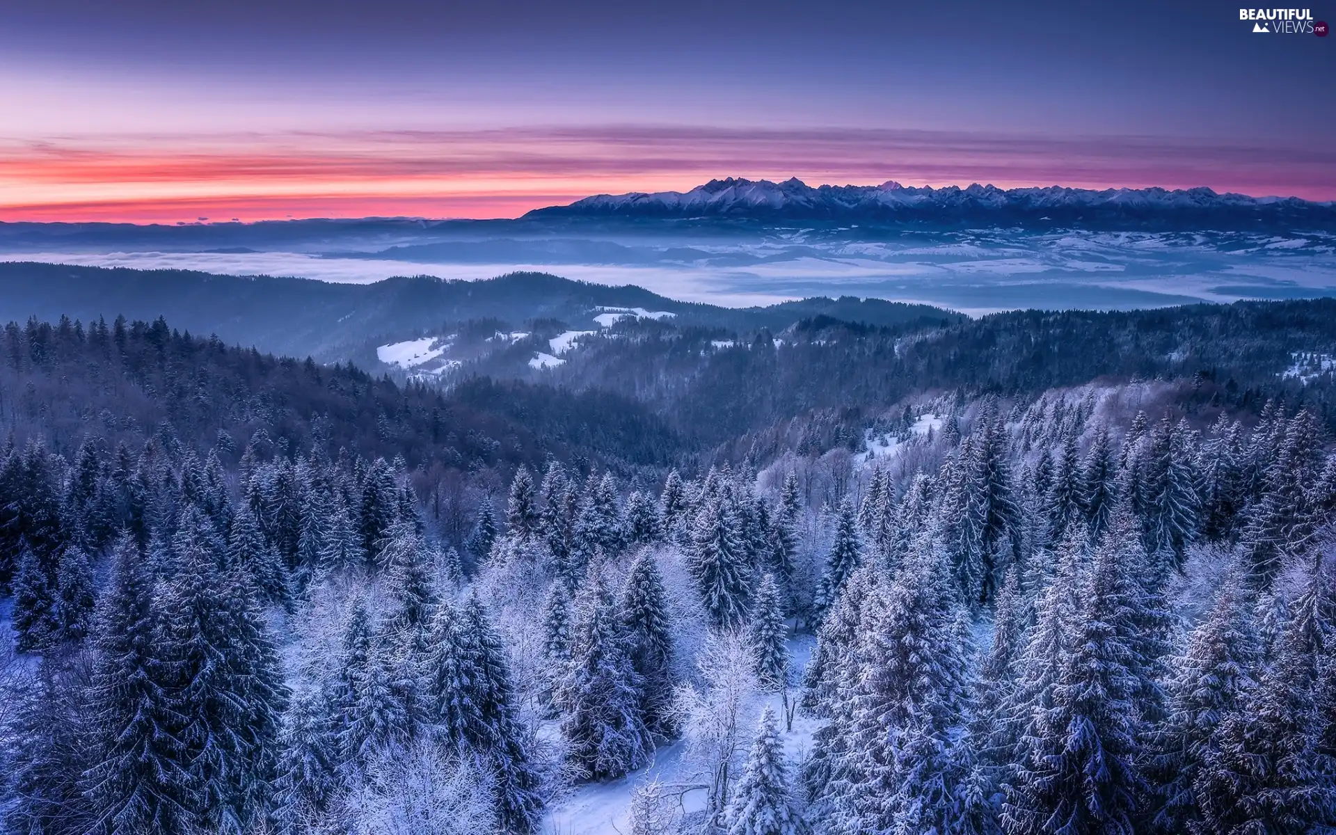 woods, snow, viewes, Mountains, winter, trees, Great Sunsets