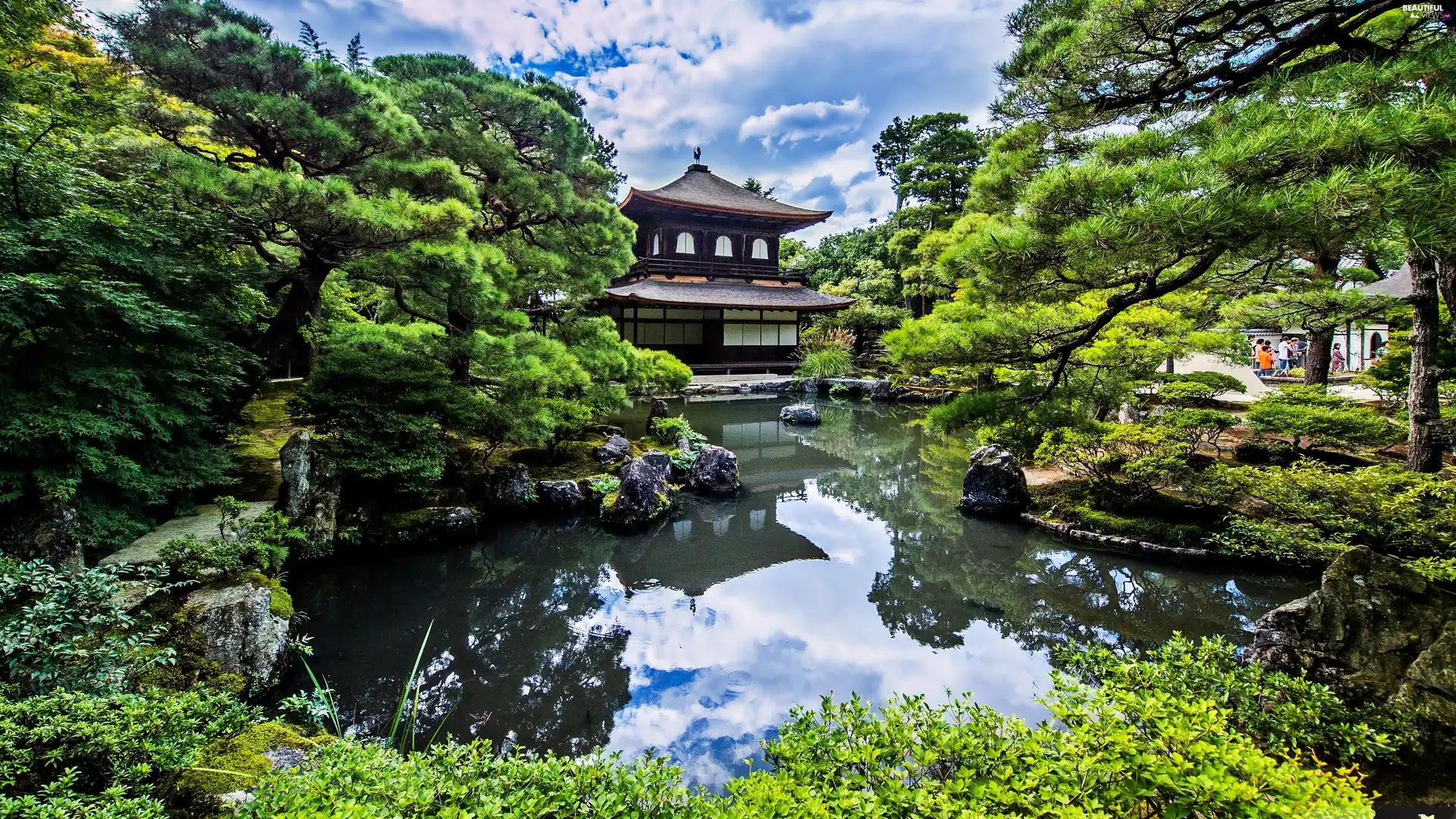 Garden, Pond - car, temple, japanese