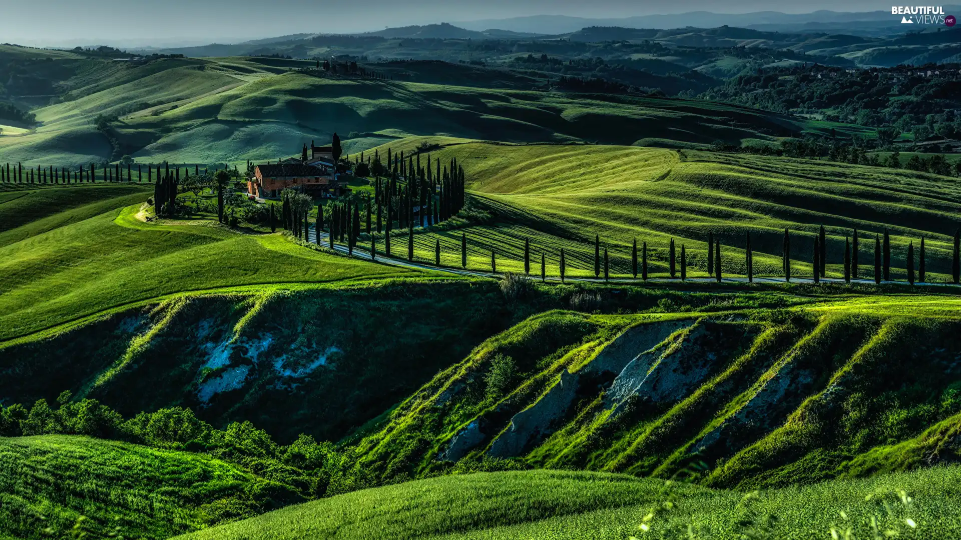The Hills, field, house, medows, cypresses, Tuscany, Italy, Way