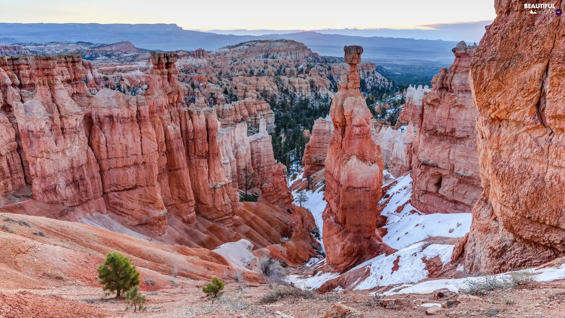 viewes, rocks, Utah, trees, Mountains, Bryce Canyon National Park, The United States