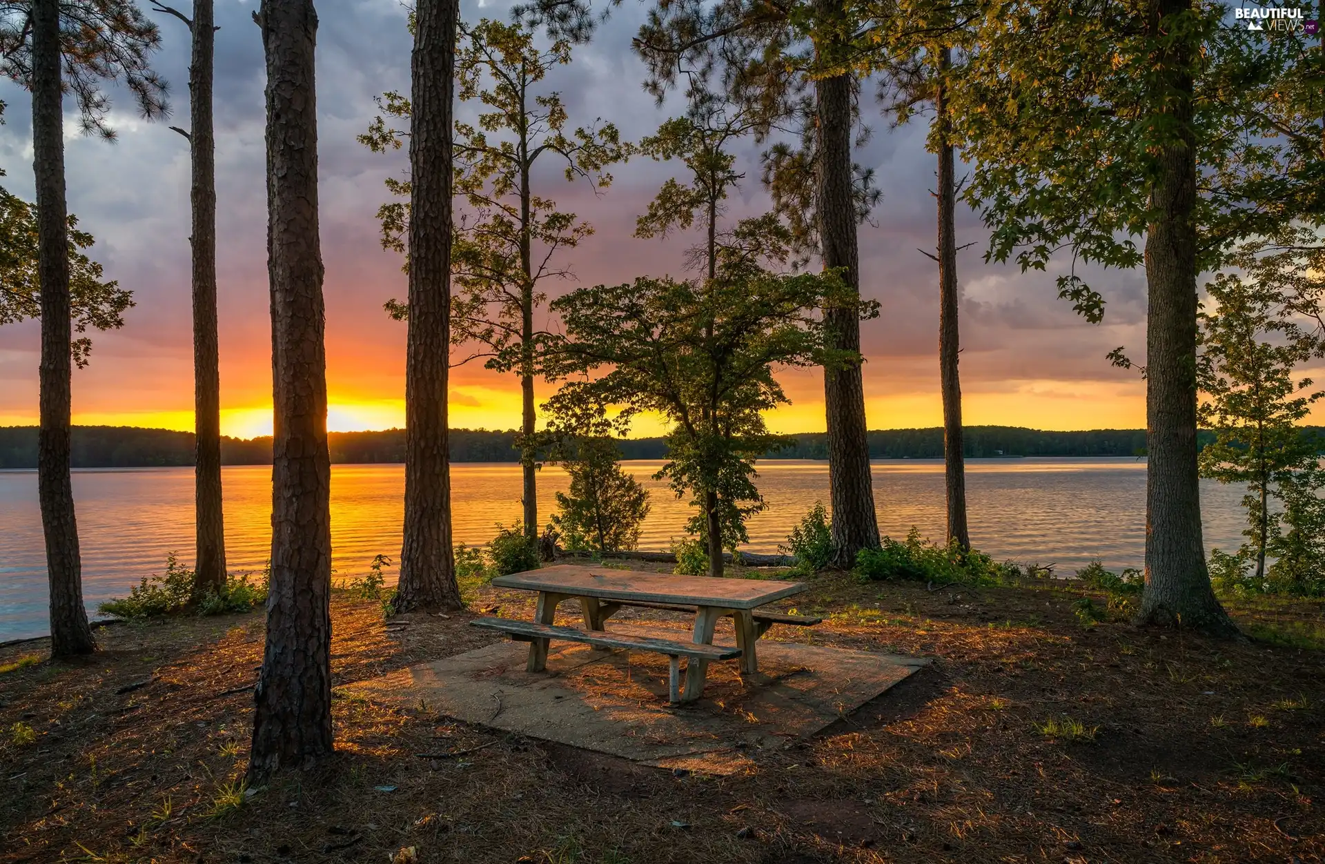 trees, State of Georgia, West Point Lake, Bench, The United States, viewes, Great Sunsets