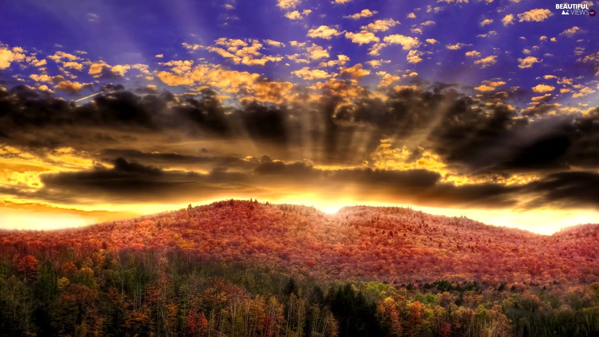 color, rays, viewes, sun, clouds, trees, autumn