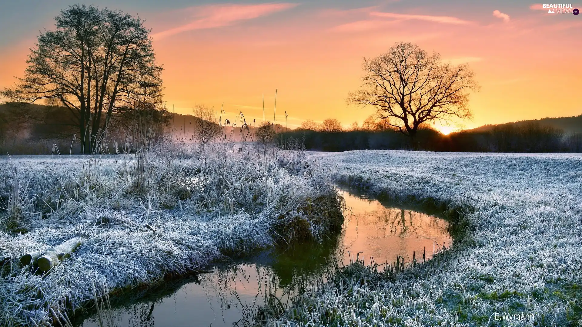 viewes, River, grass, trees, Sunrise, frosted, winter
