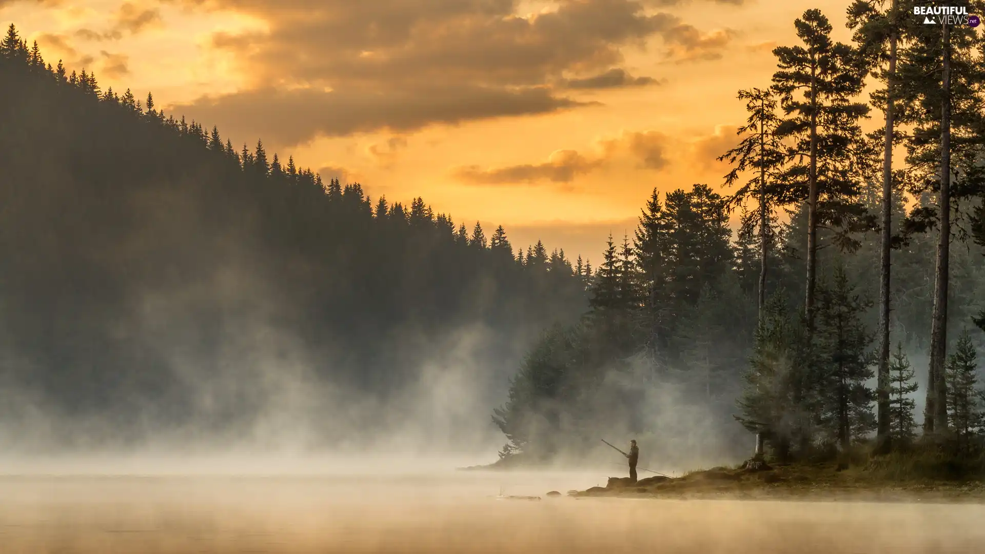 viewes, River, Human, trees, forest, Fog, angler