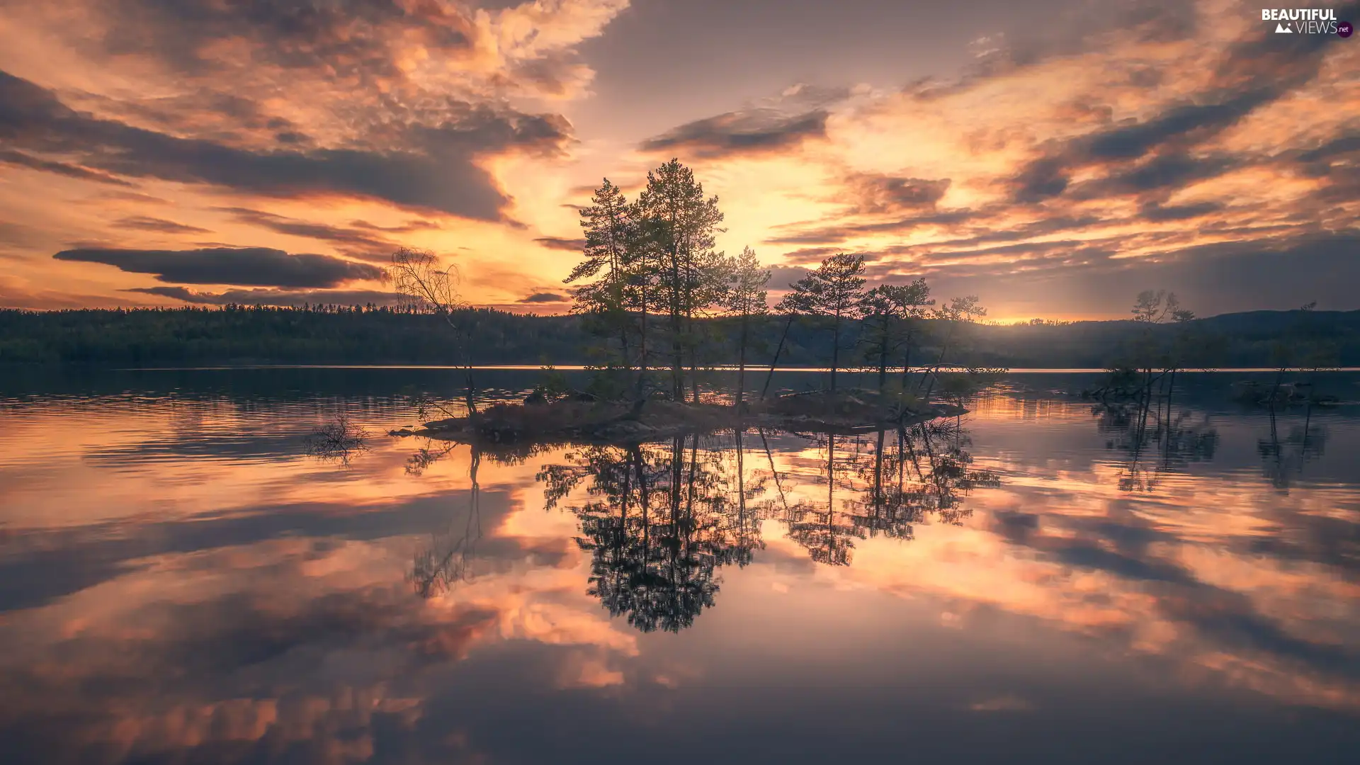 trees, viewes, Norway, Great Sunsets, Ringerike Municipality, Islet, lake, clouds