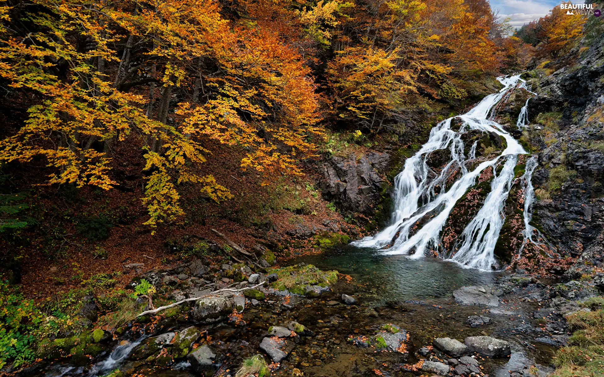 waterfall, Stones, Plants, Yellowed, viewes, River, autumn, trees