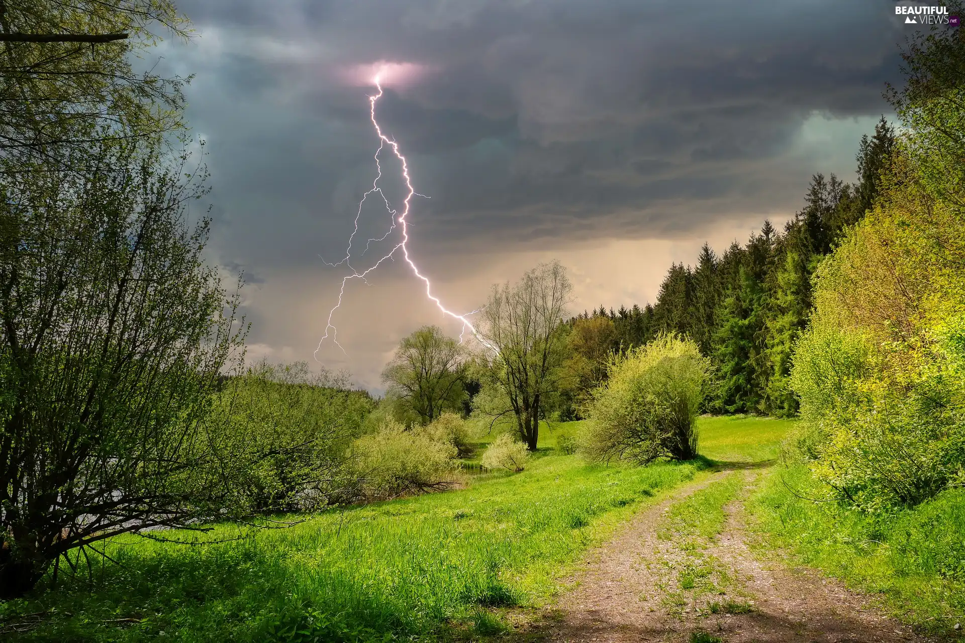 lightning, forest, Spring, Path, viewes, lightning, Storm, trees