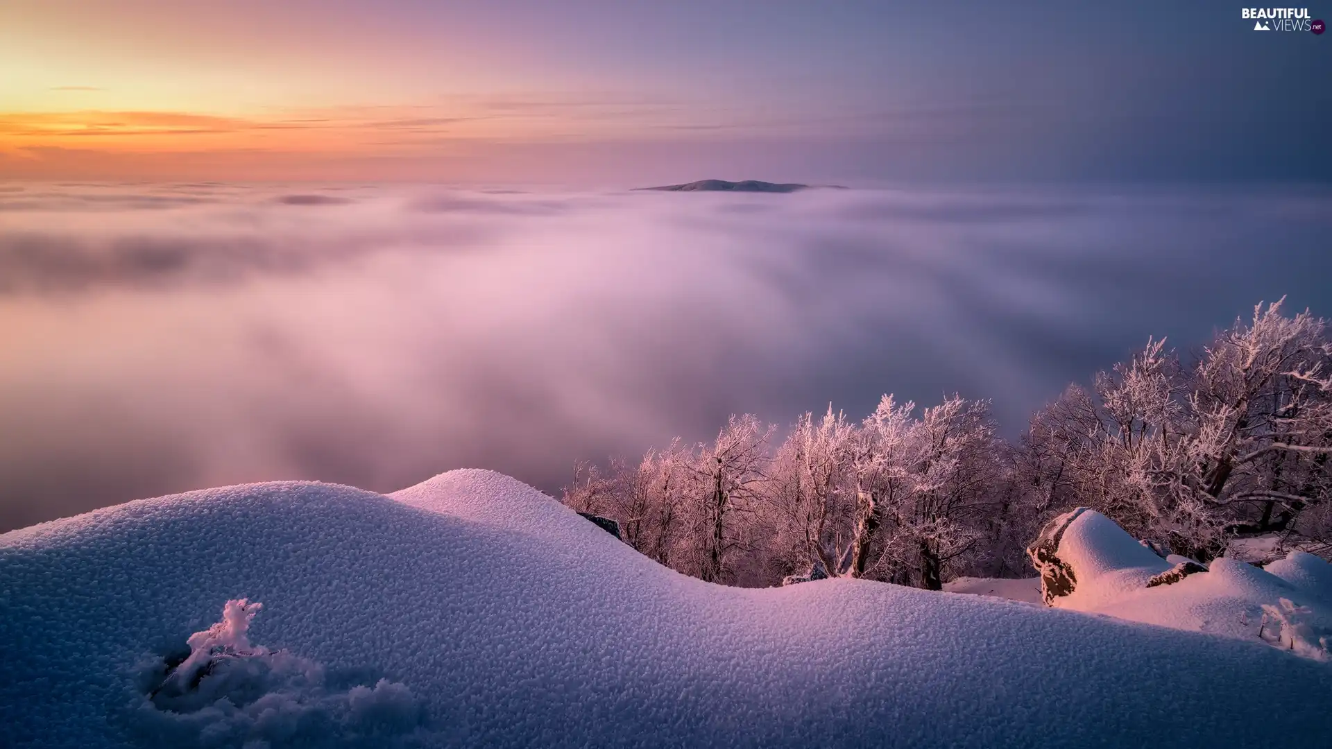 Mountains, Fog, Sunrise, clouds, viewes, snow, winter, trees