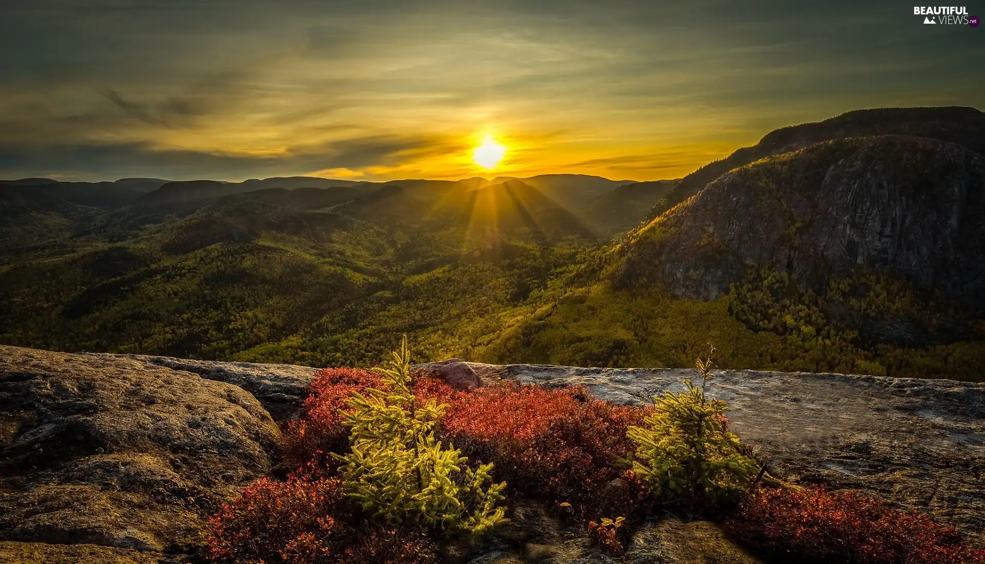 Rocks, Great Sunsets, trees, viewes, VEGETATION, Mountains