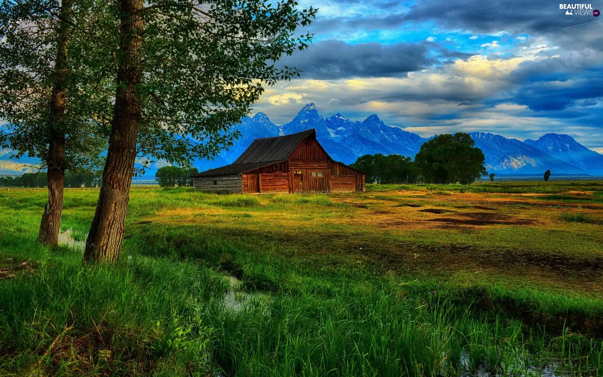 trees, viewes, cote, Meadow, Mountains