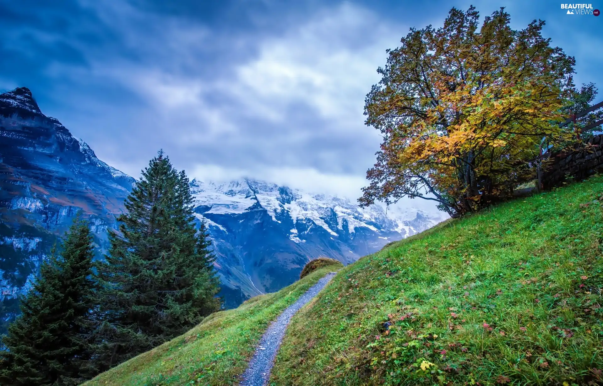 trees, viewes, Meadow, Path, Mountains