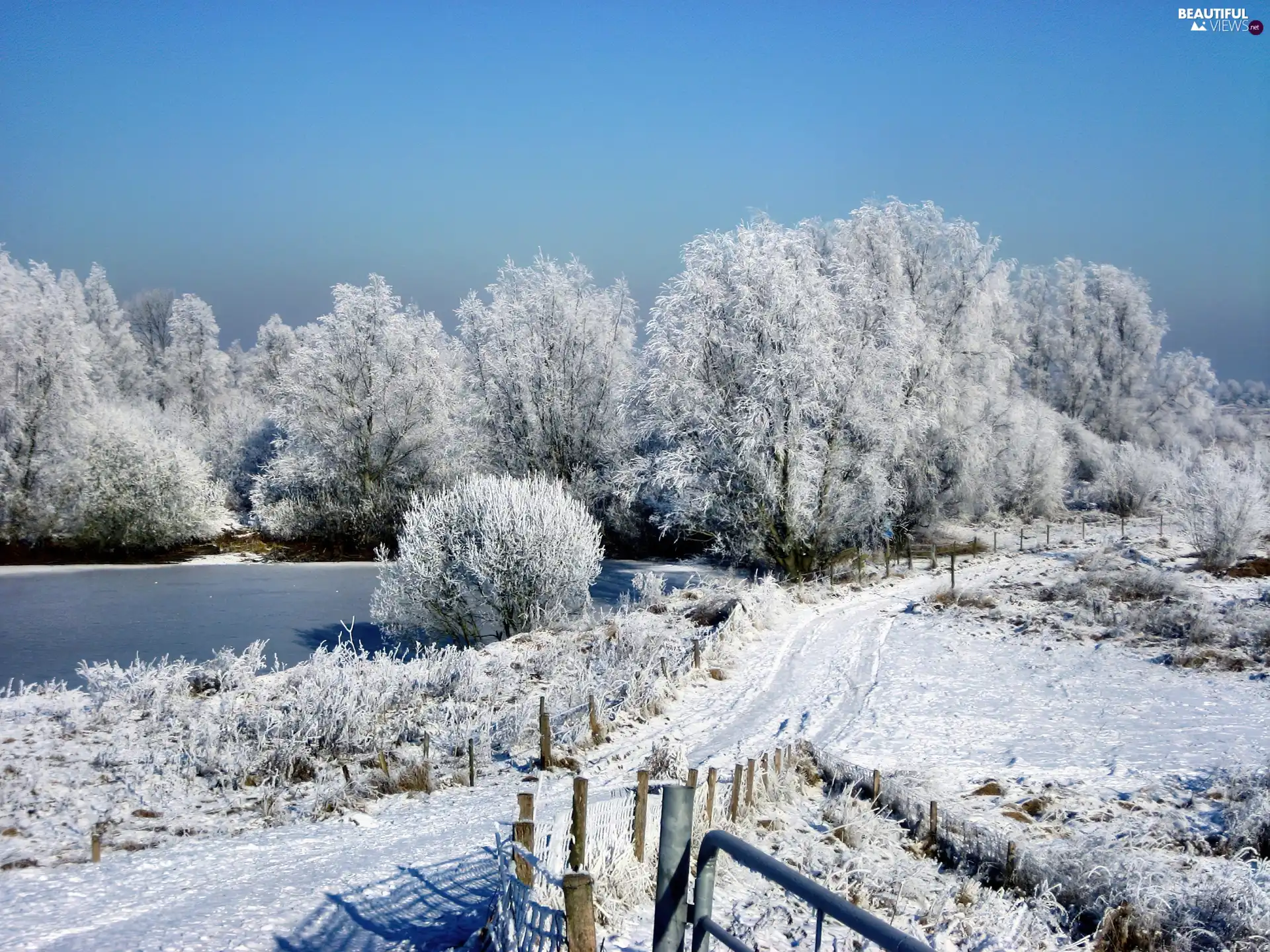 trees, viewes, lake, frosty, Way
