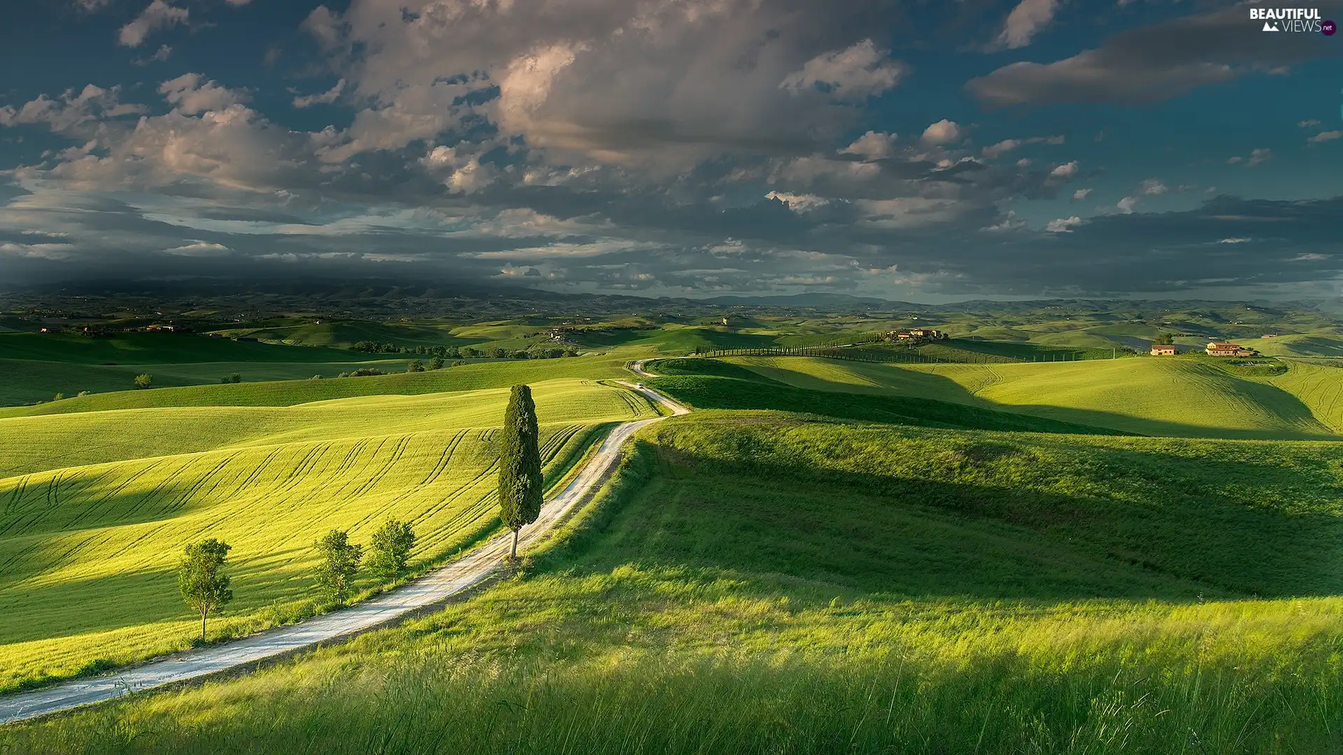 field, Italy, trees, viewes, Way, Tuscany