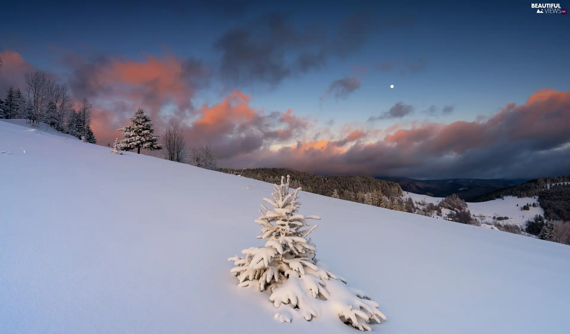 winter, snow, Hill, trees