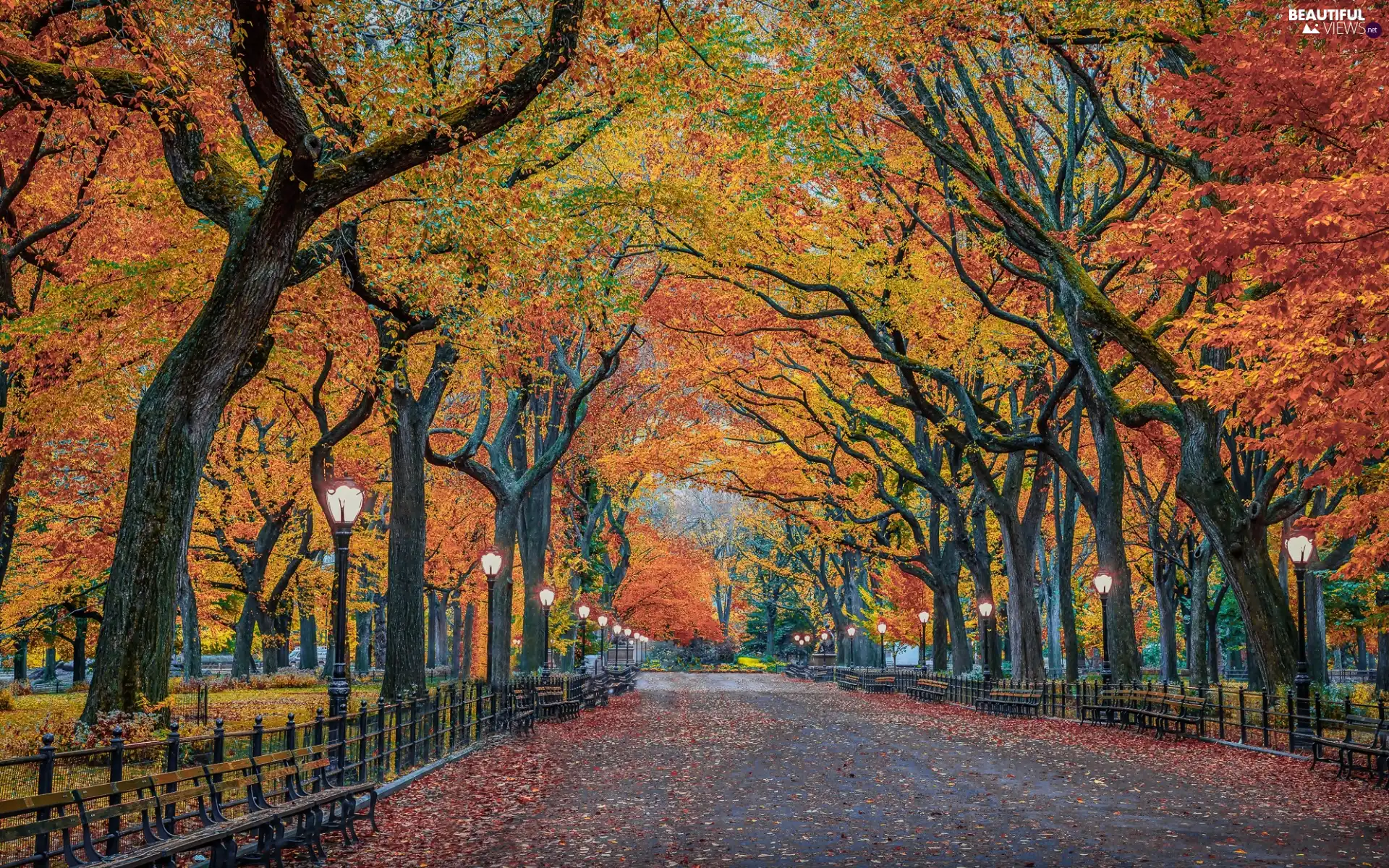 New York, The United States, Central Park, trees, bench, autumn, lanterns, alley, viewes