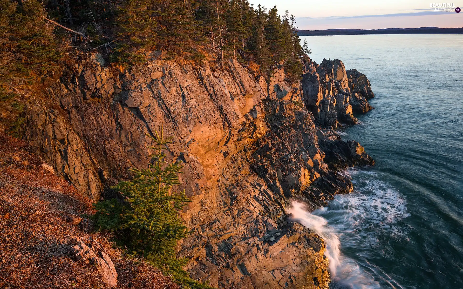 sea, Coast, cliff, rocks, viewes, State of Maine, The United States, trees
