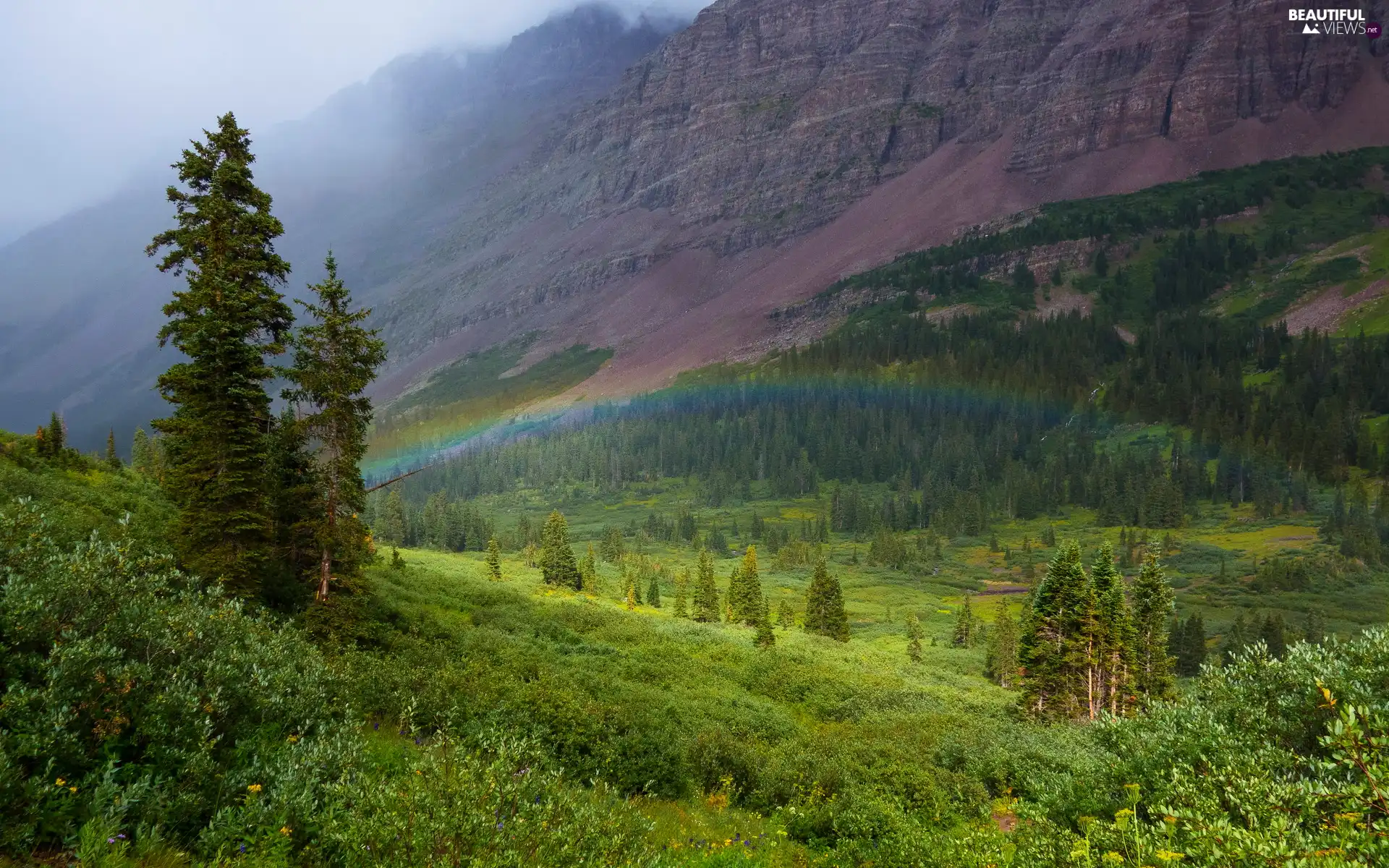 Maroon Bells, mountains, The Hills, trees, Colorado, The United States, Bush, Great Rainbows, viewes